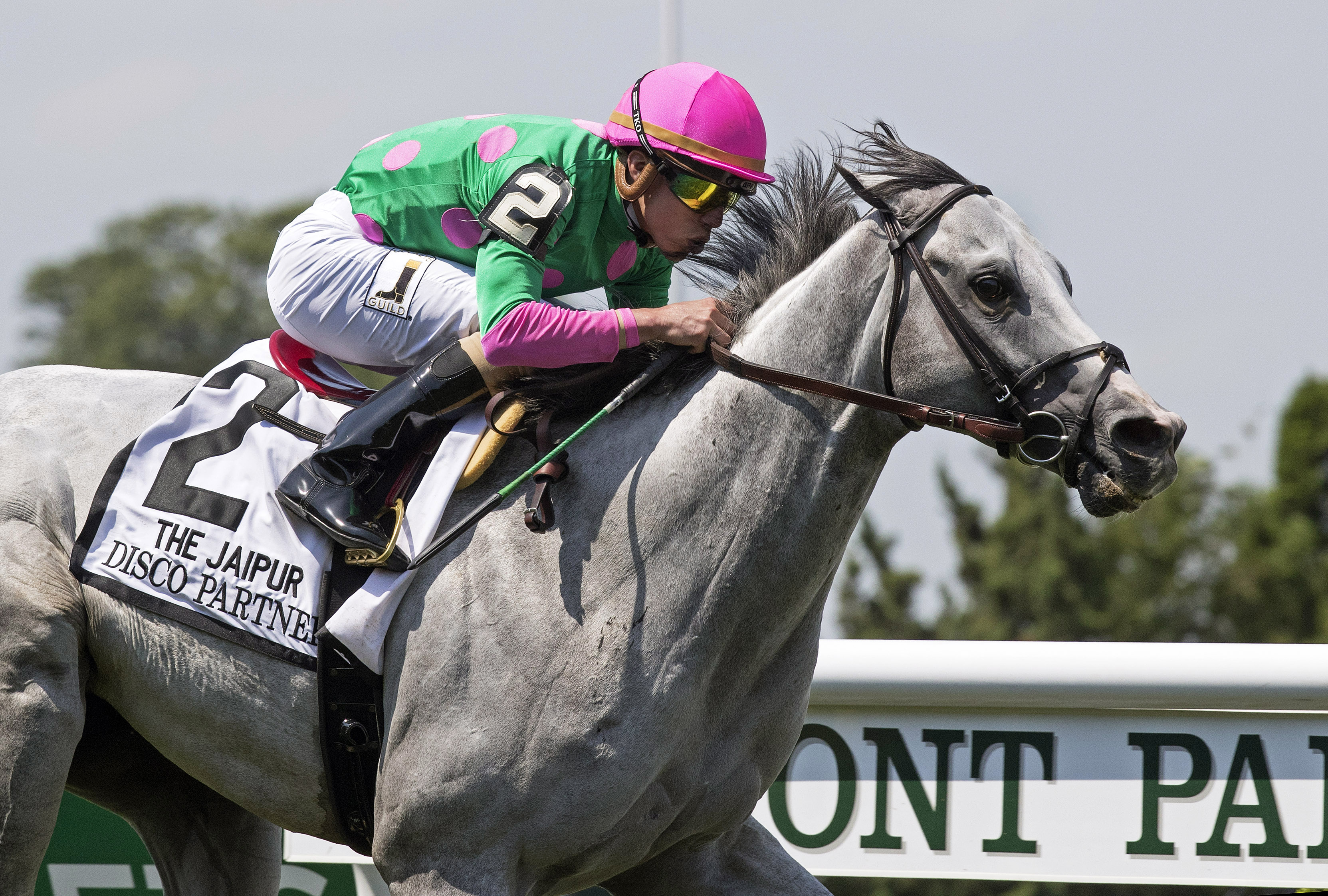 Disco Partner wins the Jaipur