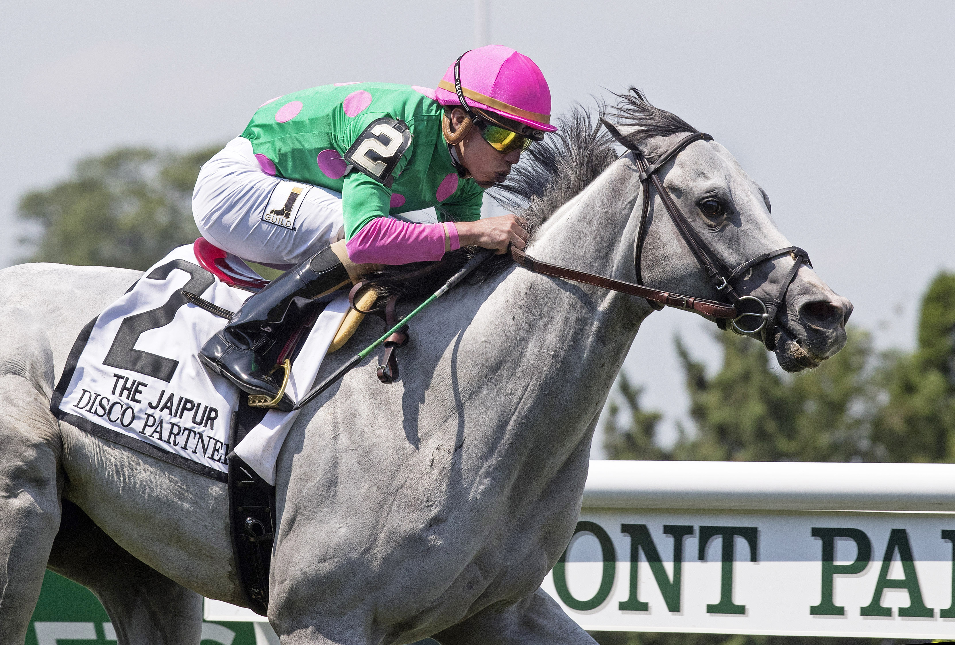 Disco Partner wins the 2017 Jaipur Stakes