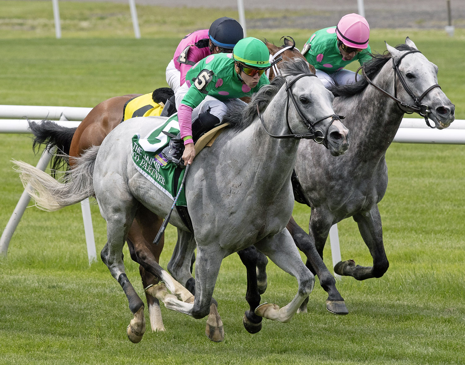 Disco Partner wins the 2018 Jaipur Stakes