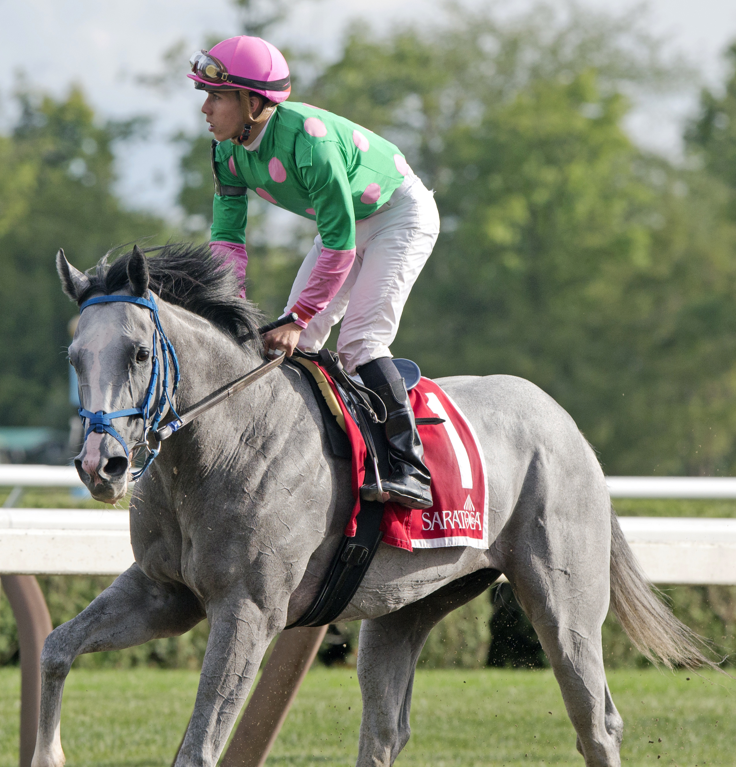 Disco Partner finished third in the Quick Call