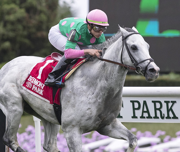 Disco Partner wins the 2018 Belmont Turf Sprint
