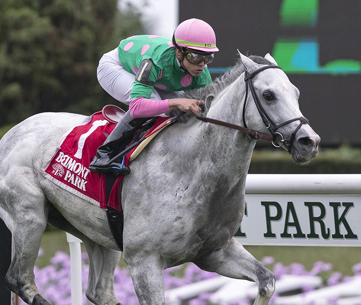 Disco Partner wins the 2018 Belmont Turf Sprint