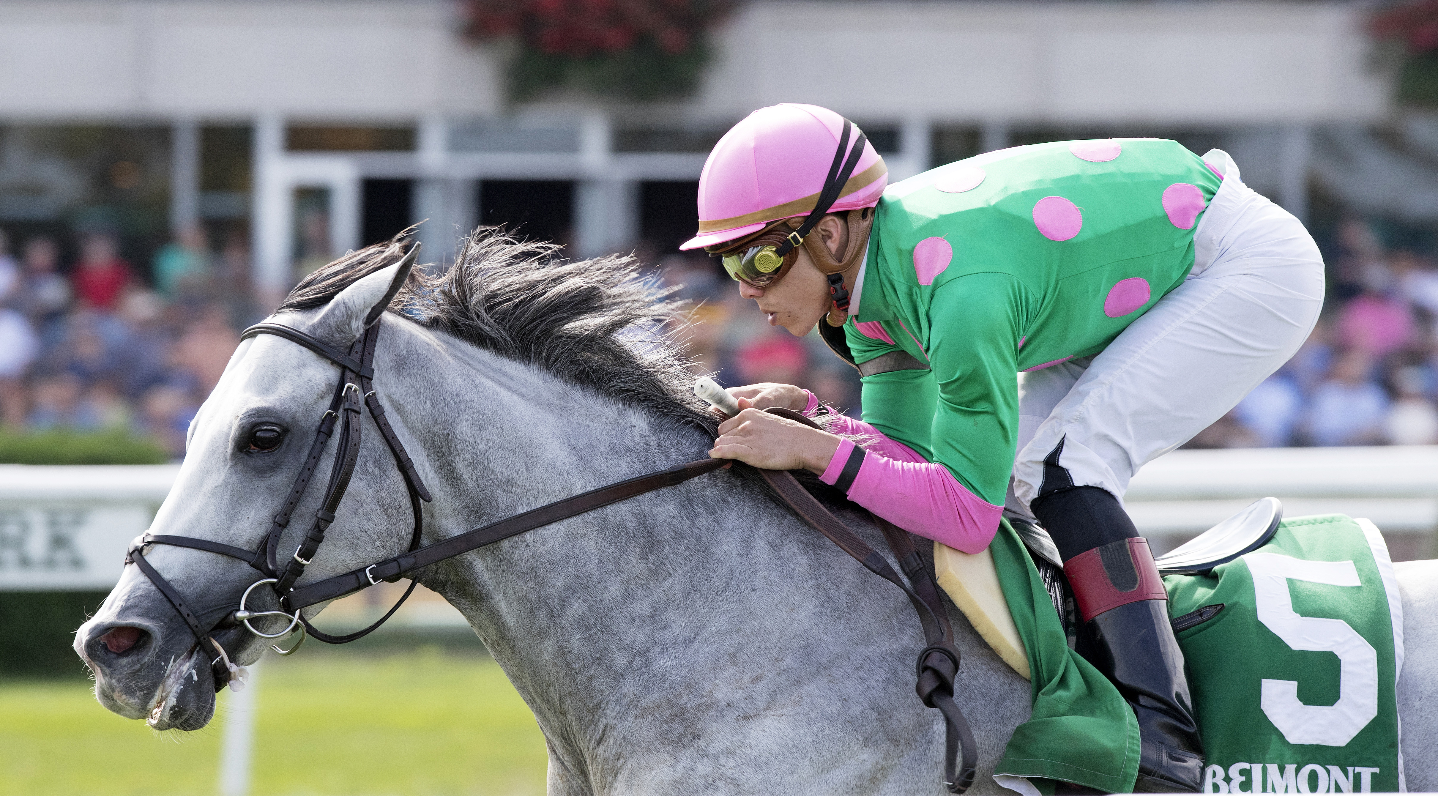 Disco Partner wins the 2017 Belmont Turf Sprint