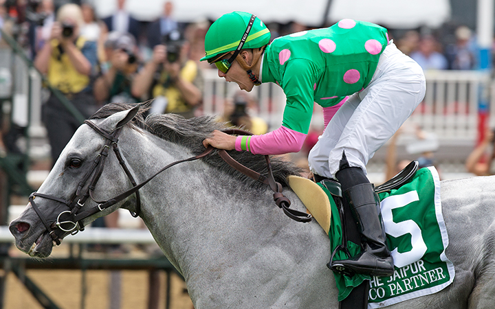 Disco Partner wins the 2018 Jaipur Stakes at Belmont Park