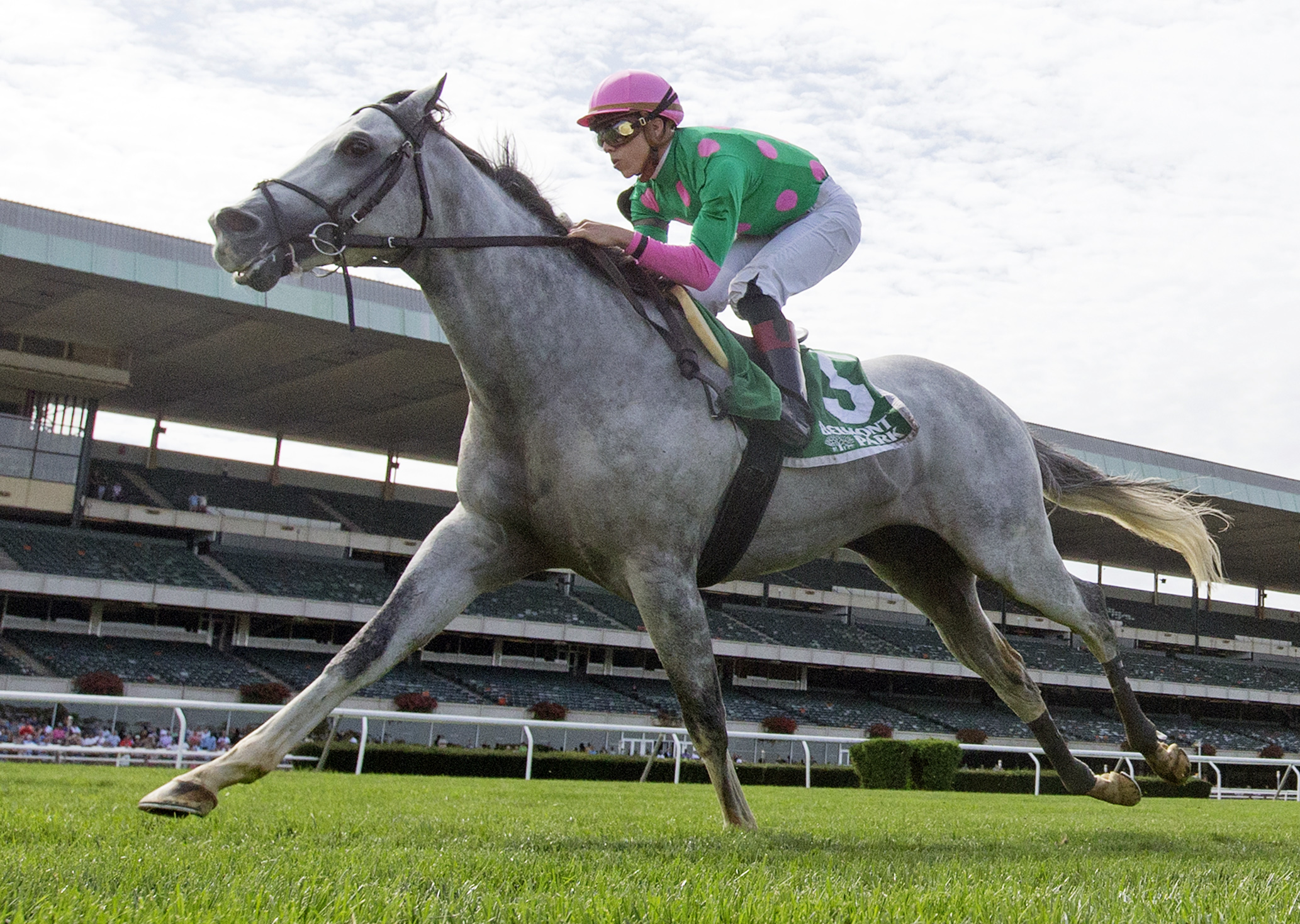 Disco Partner wins the 2017 Belmont Turf Sprint