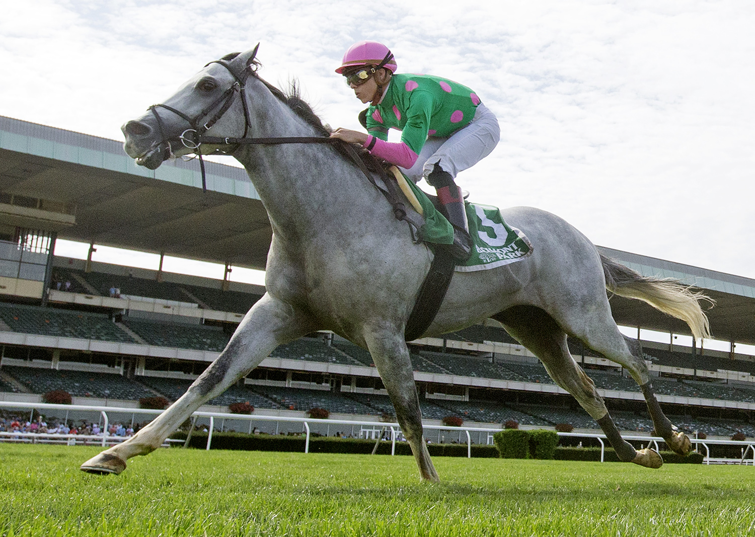 Disco Partner wins the 2017 Belmont Turf Sprint