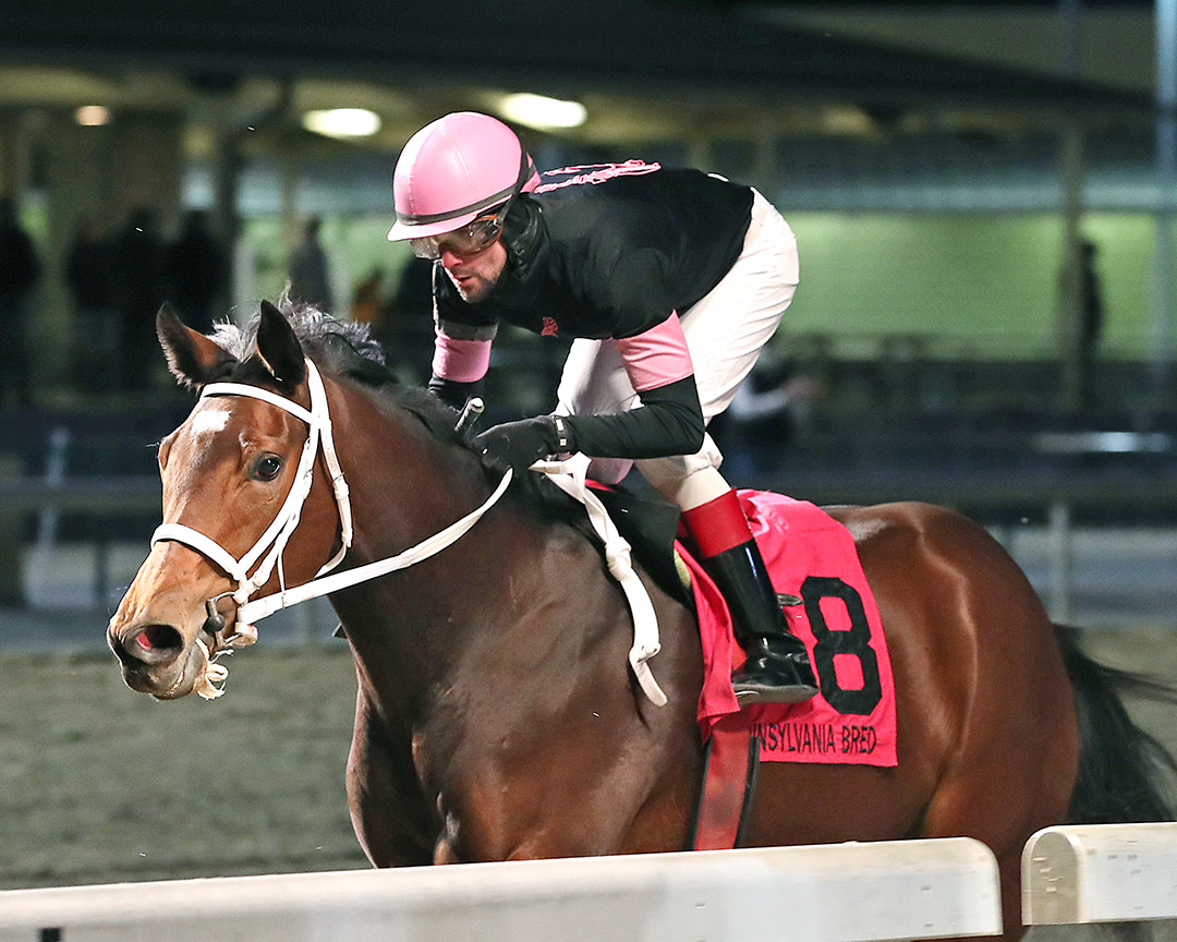 Disco Ebo wins the 2021 Shamrock Rose Stakes at Penn National