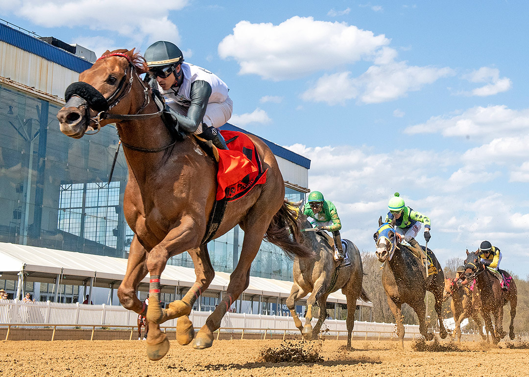 Disco Pharoah wins the Frank Whiteley Stakes at Laurel Park