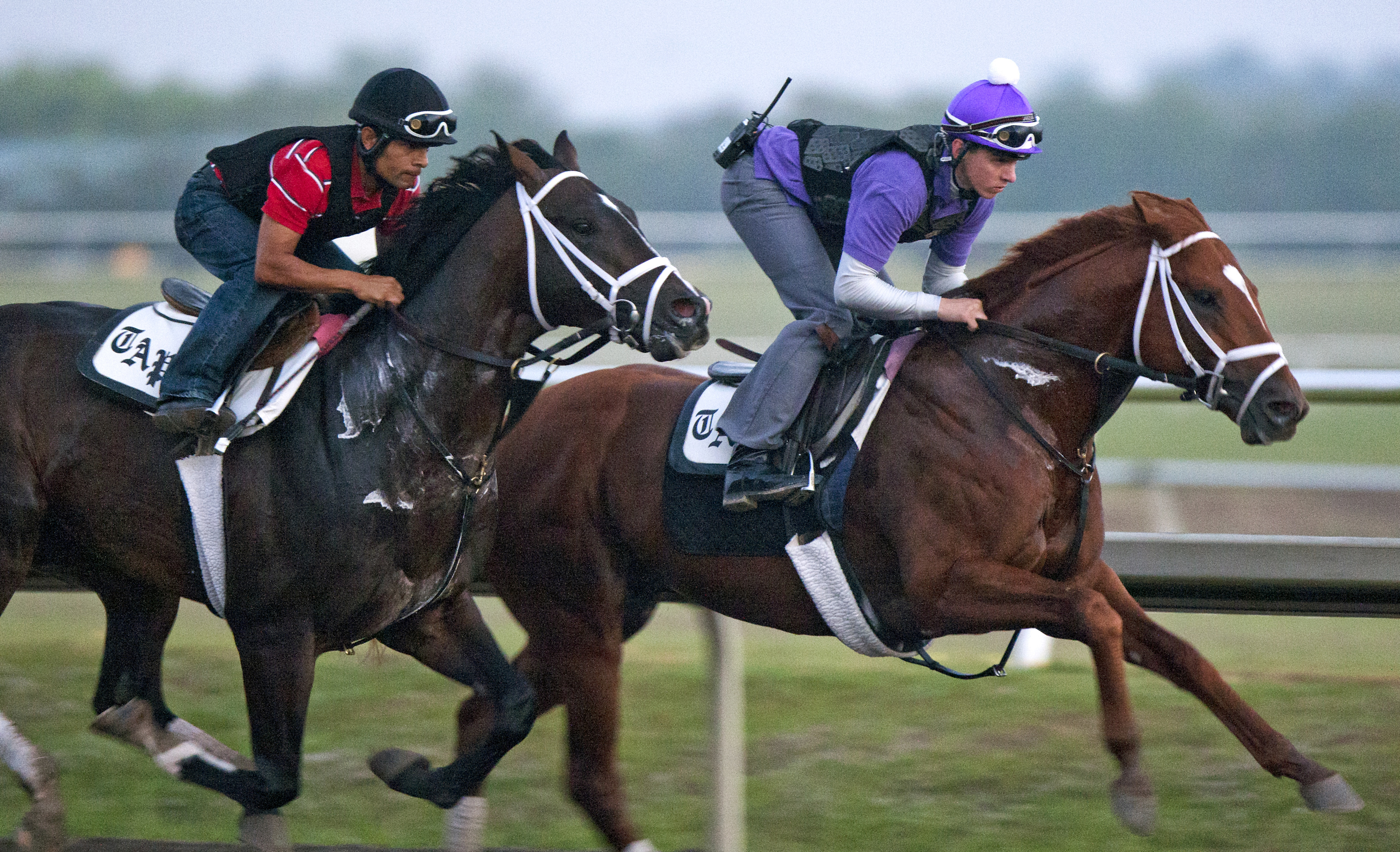Discreet Dancer, Verrazano
