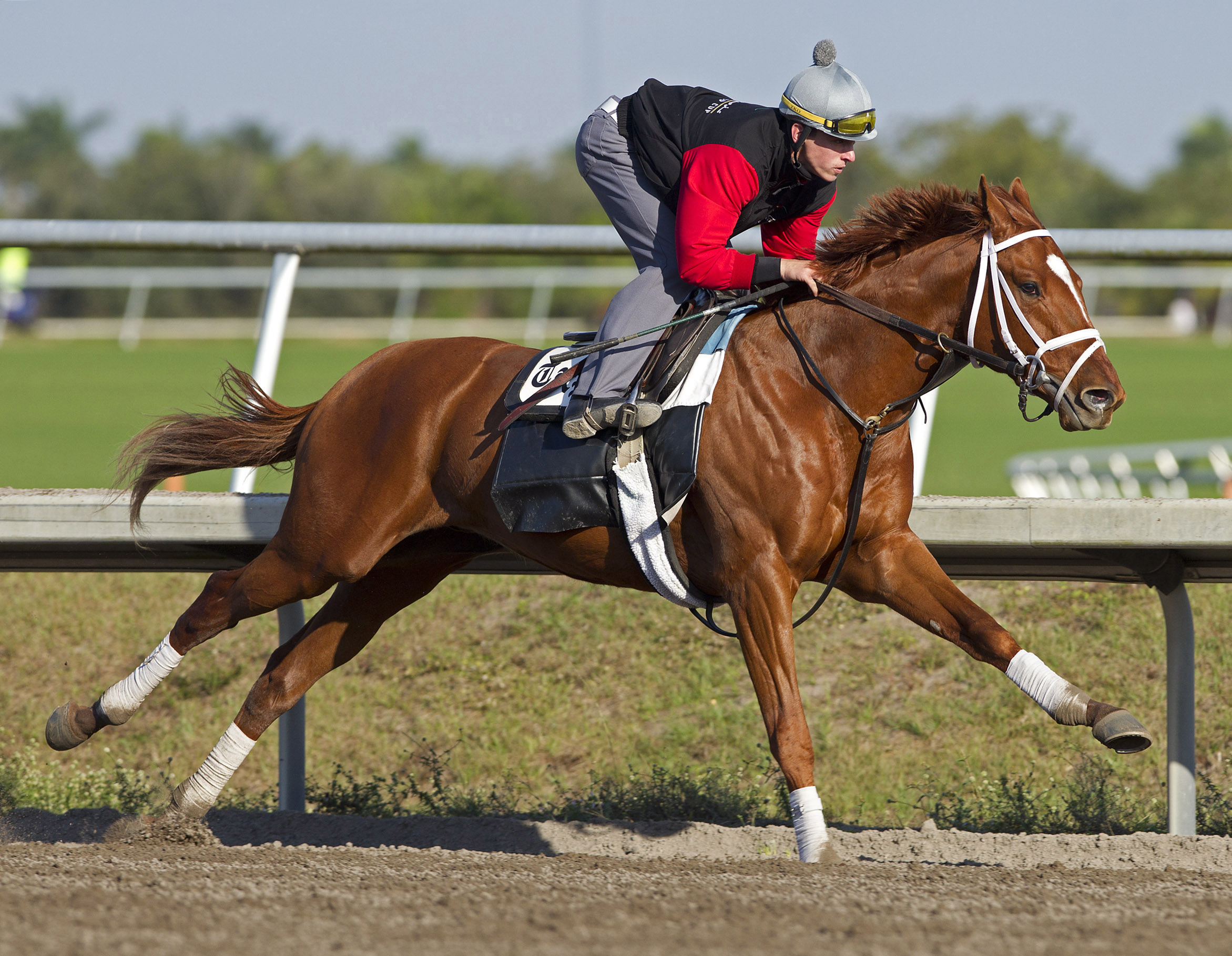 Discreet Dancer/1-30 work