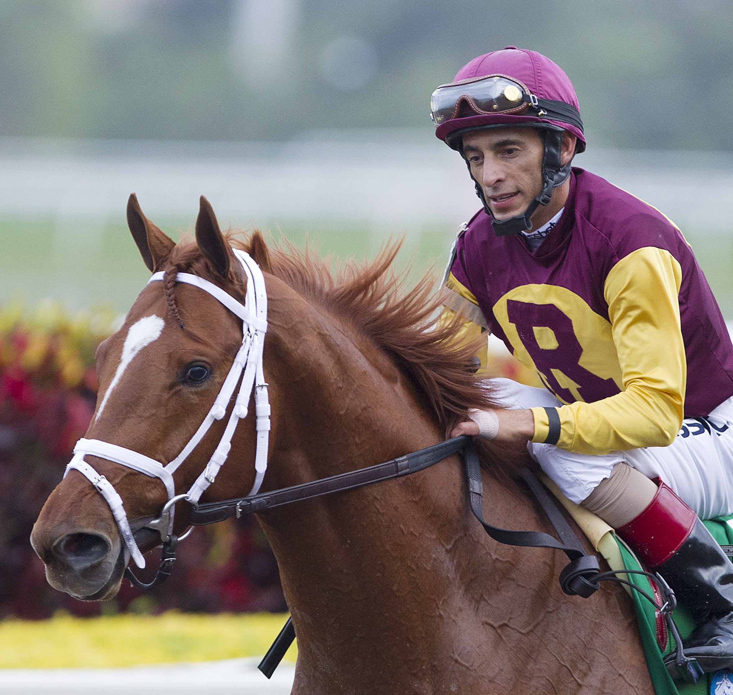 Discreet Dancer