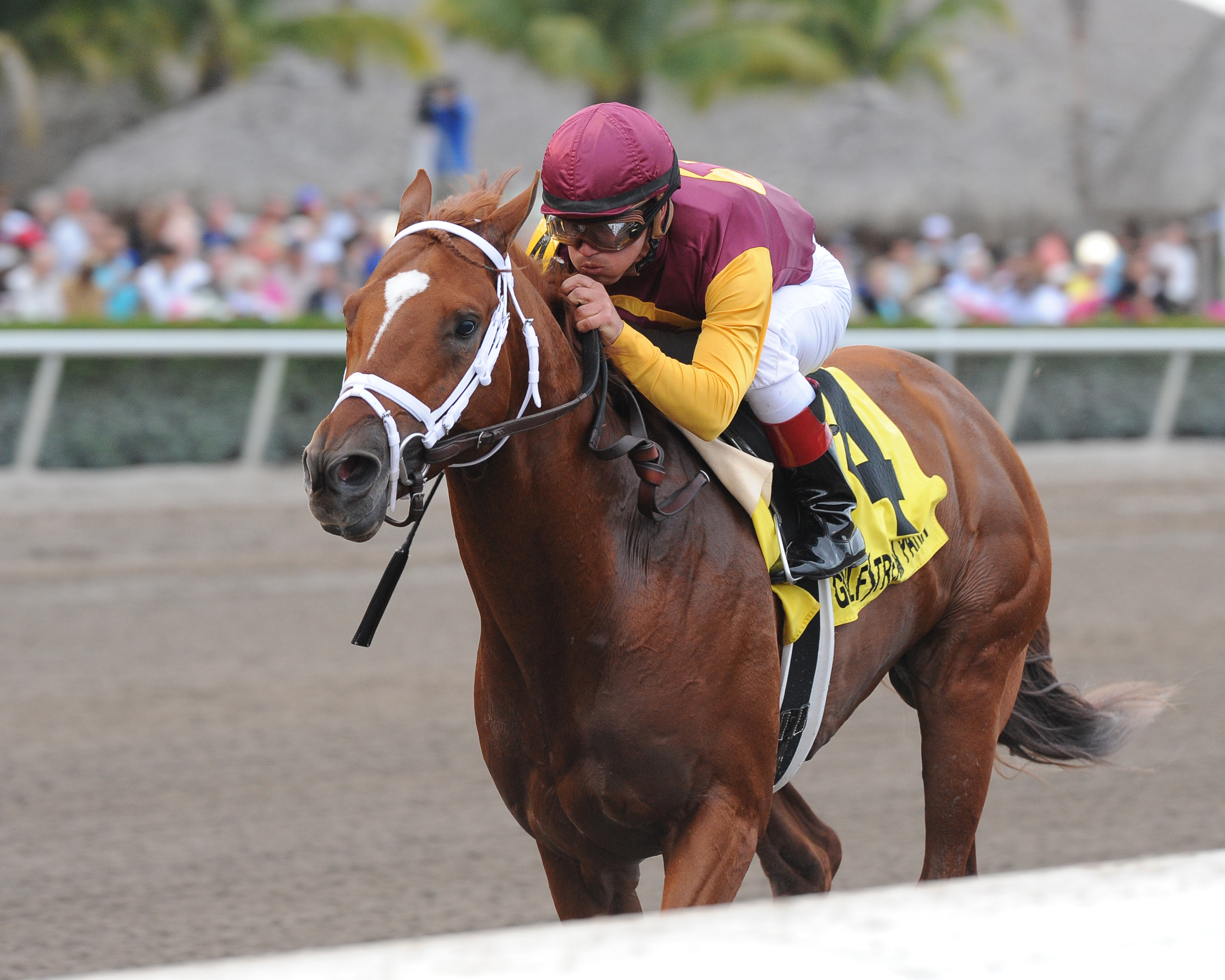 Discreet Dancer