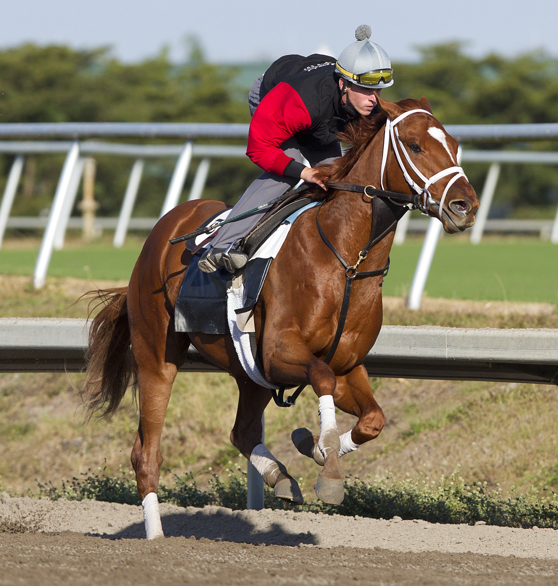 Discreet Dancer