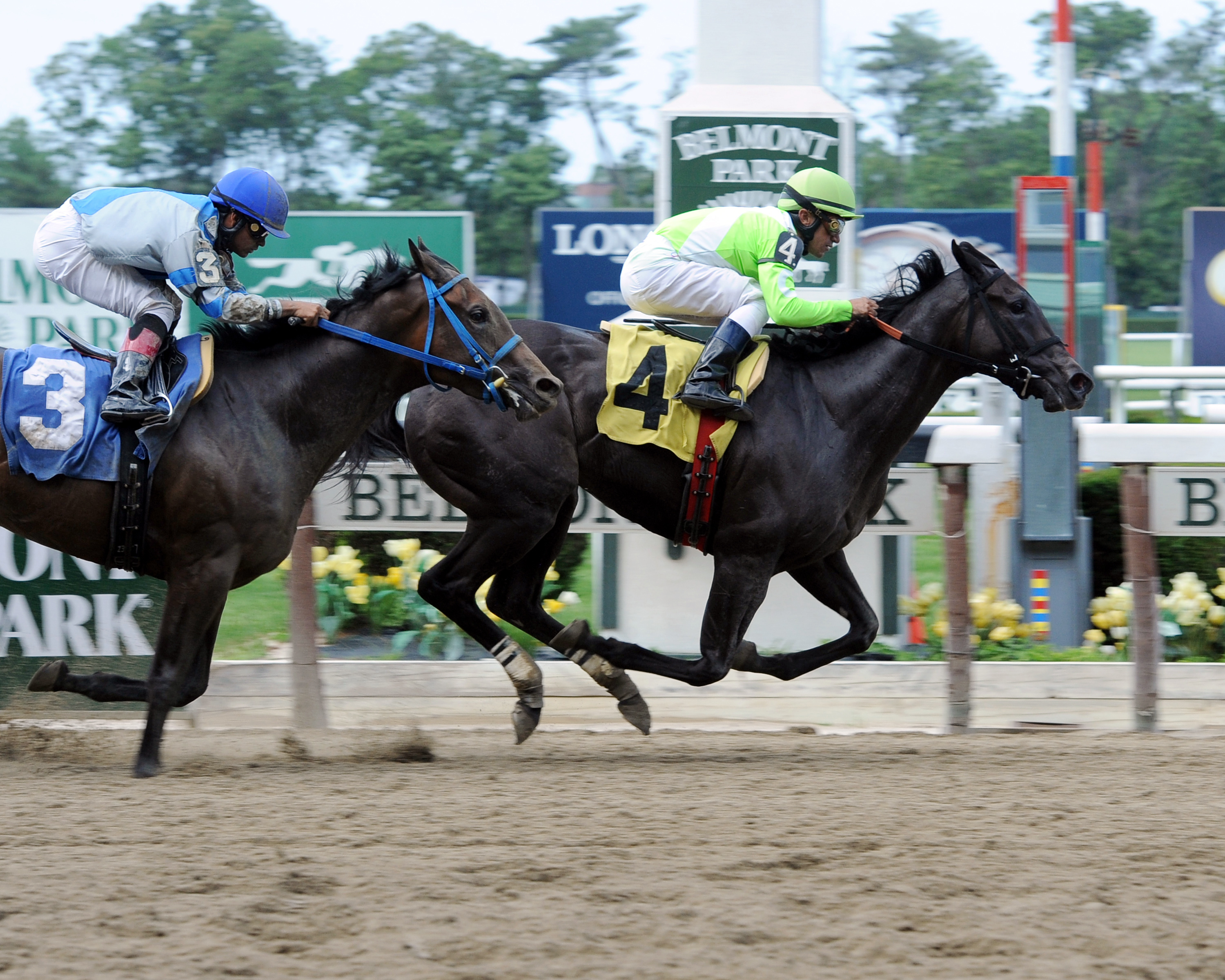 Discreet Force wins a 2013 optional claiming race