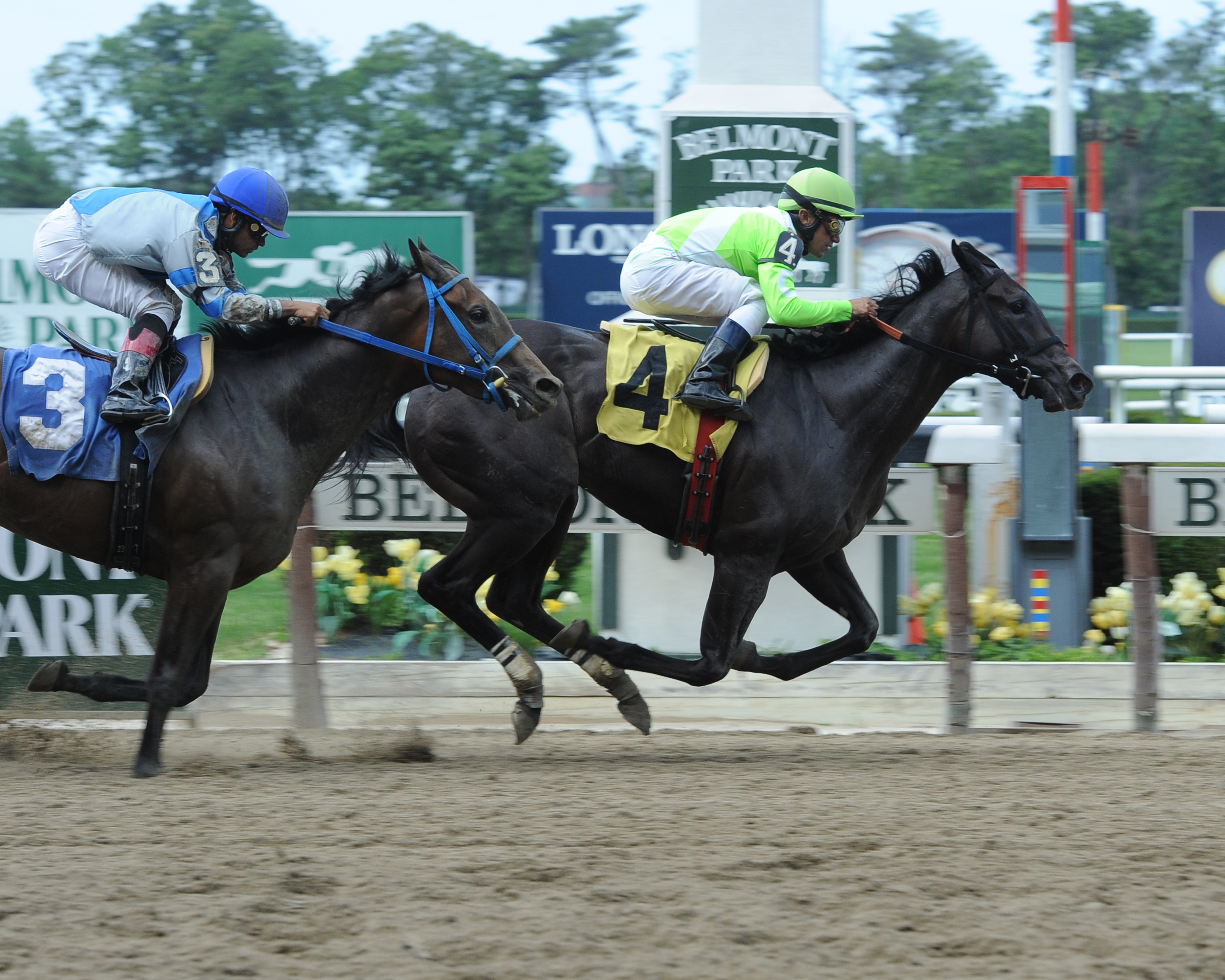 Discreet Force/June 23