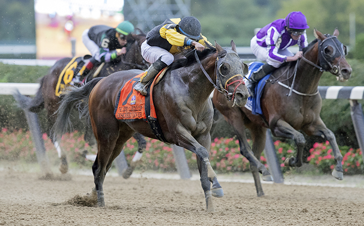 Discreet Lover wins the 2018 Jockey Club Gold Cup