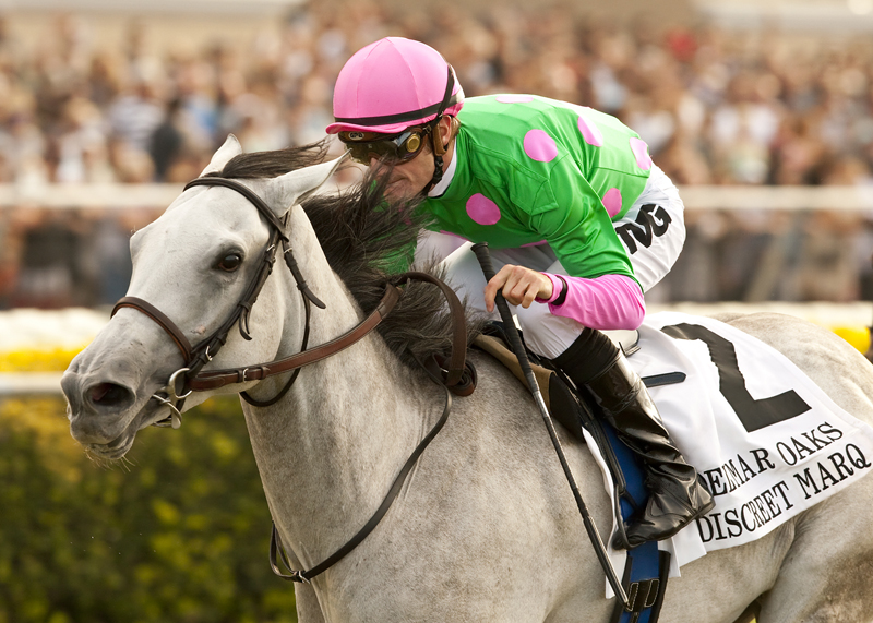 Discreet Marq 8-17-2013