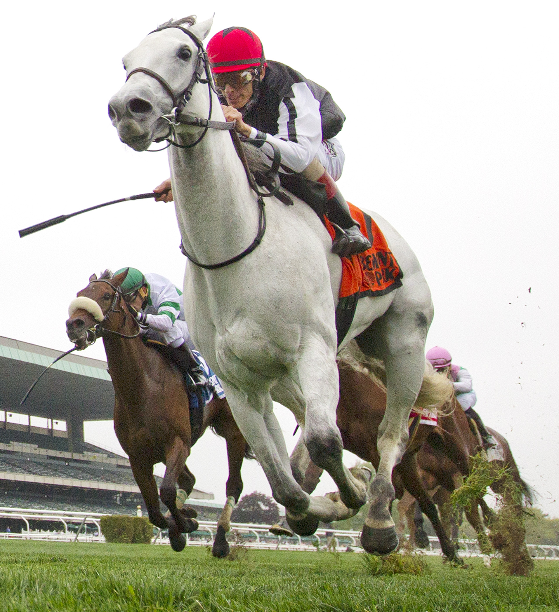 Discreet Marq wins 2015 Beaugay