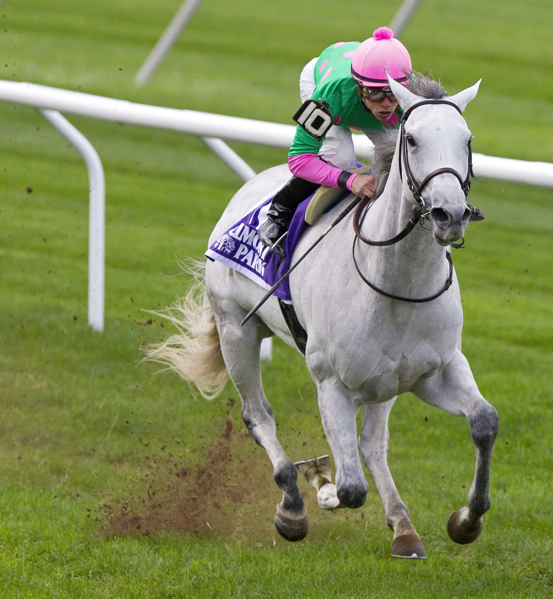 Discreet Marq wins the Ticonderoga Stakes