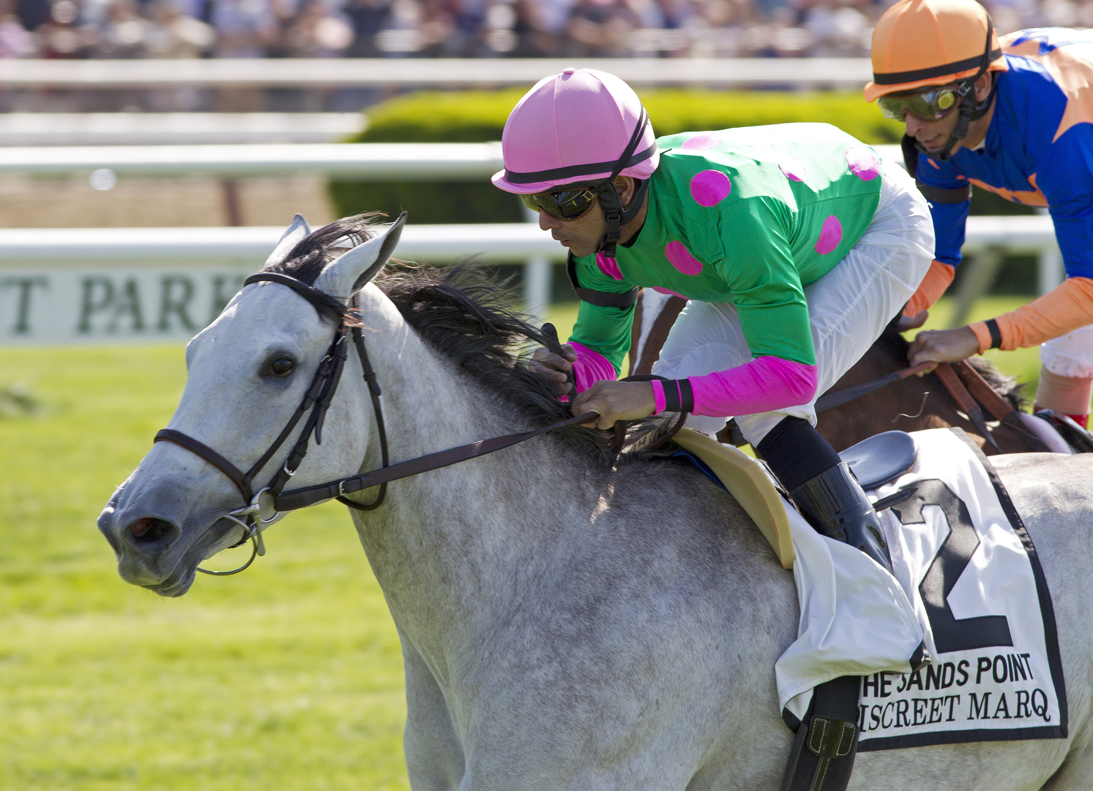 Discreet Marq, Sands Point