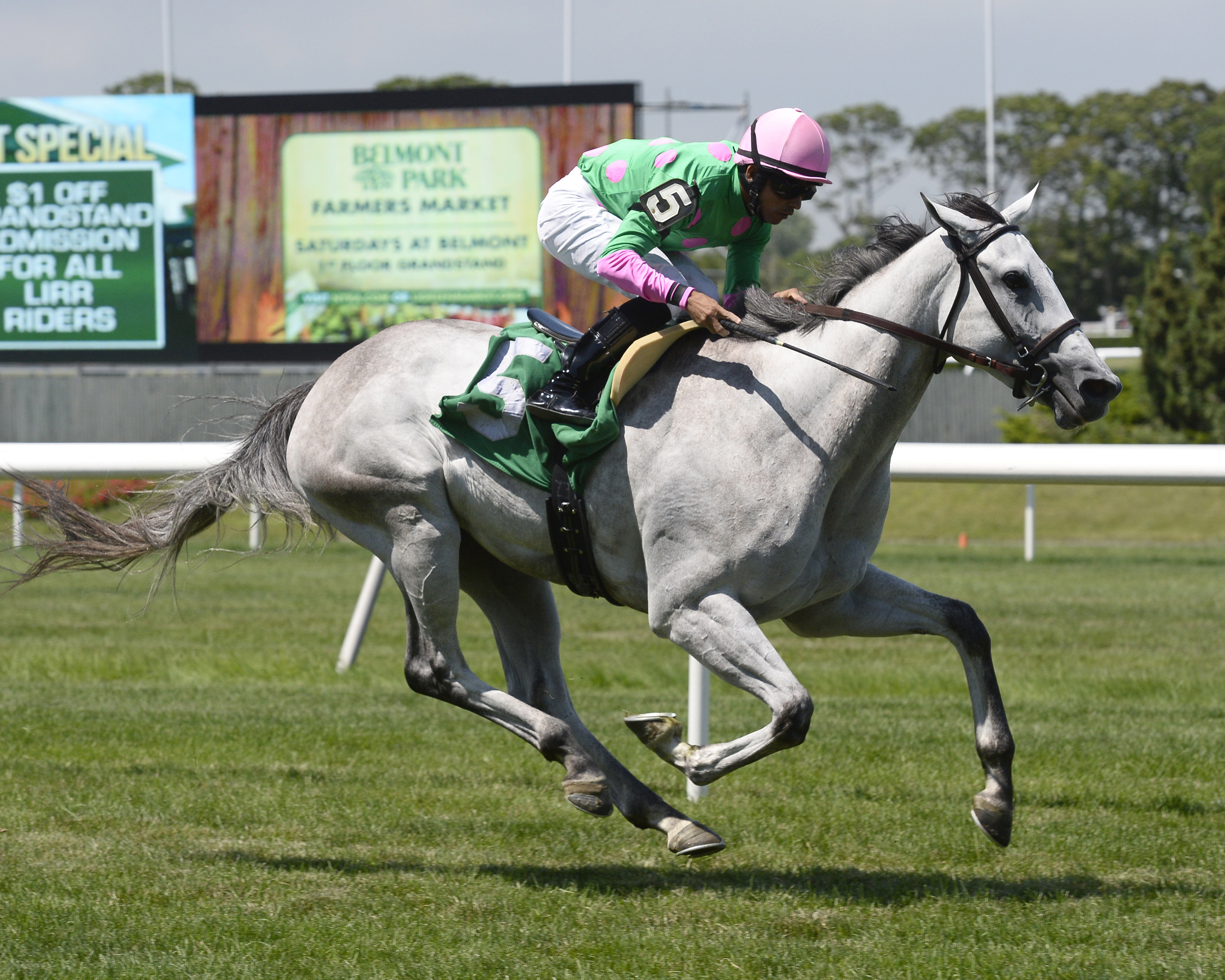 Discreet Marq, Eventail Stakes