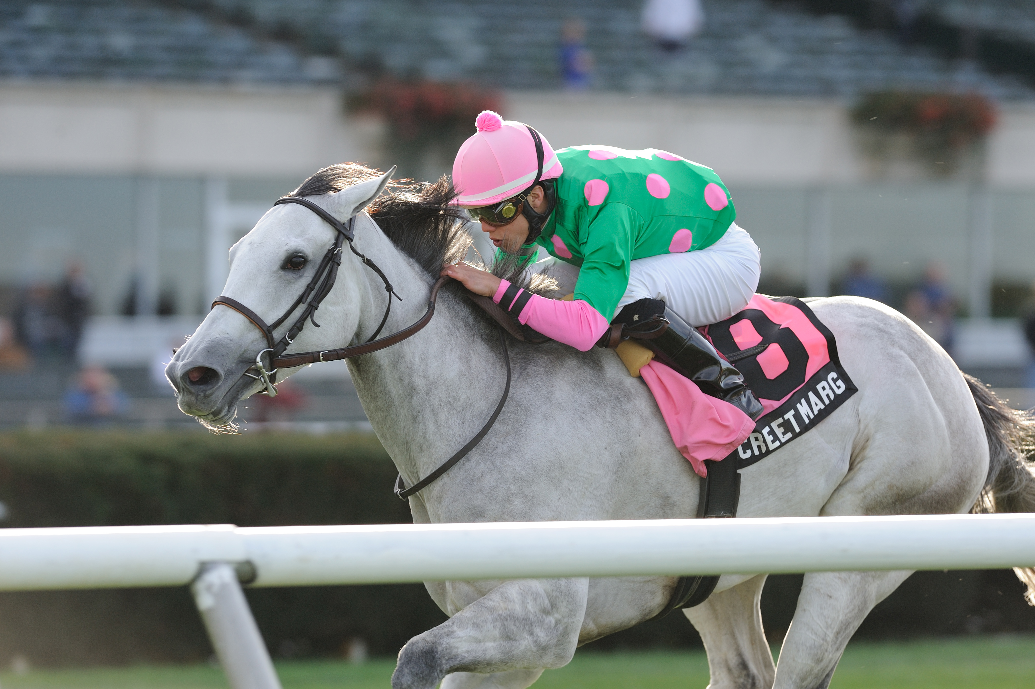 Discreet Marq wins the Pebbles Stakes