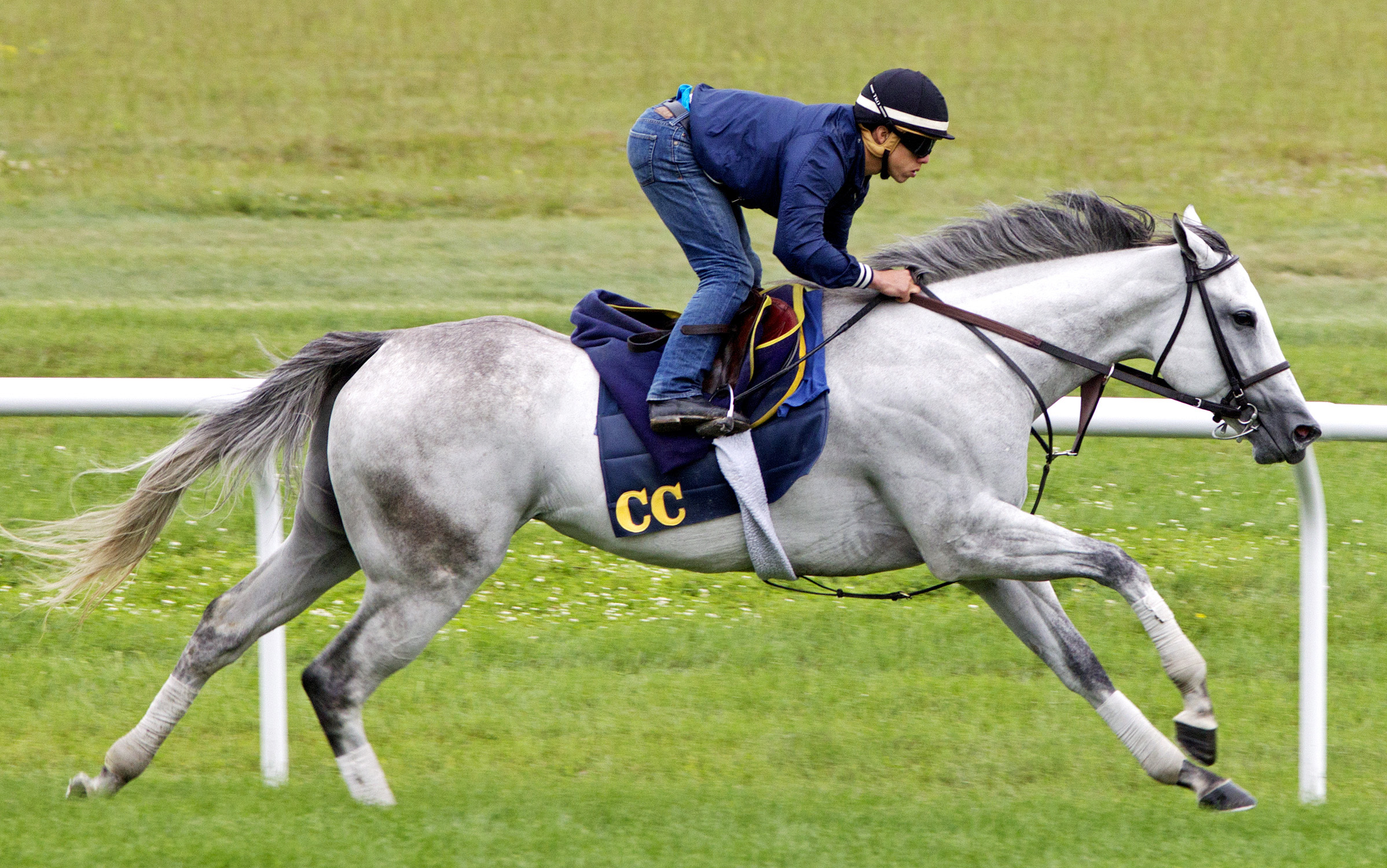 Discreet Marq trains on Aug. 15