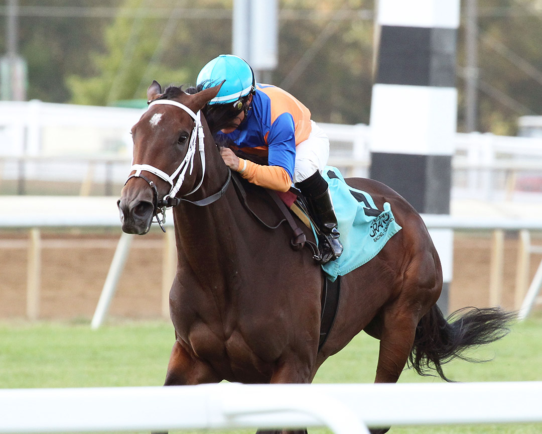 Disobedient wins an Oct. 1 maiden race at Indiana Grand