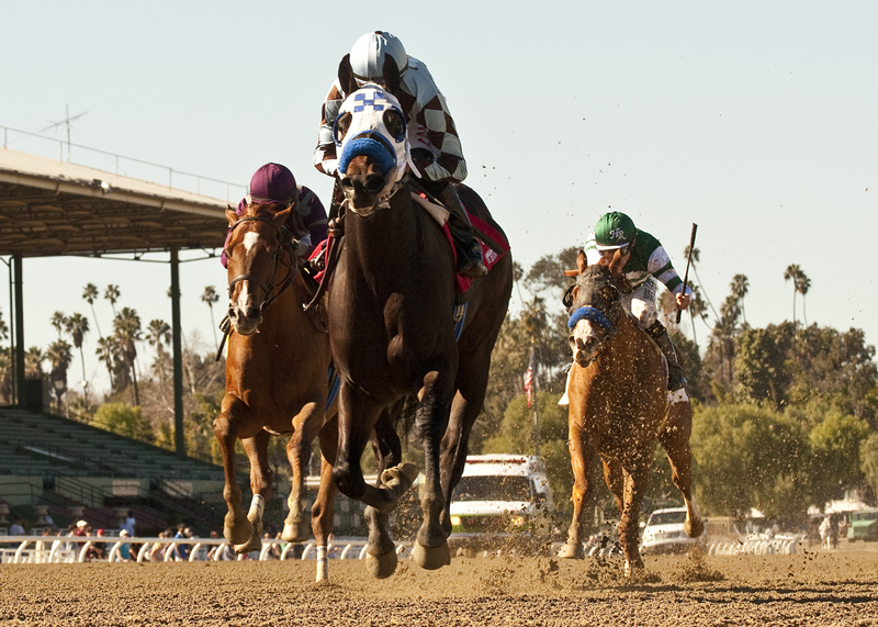Distinctiv Passion, San Pedro Stakes