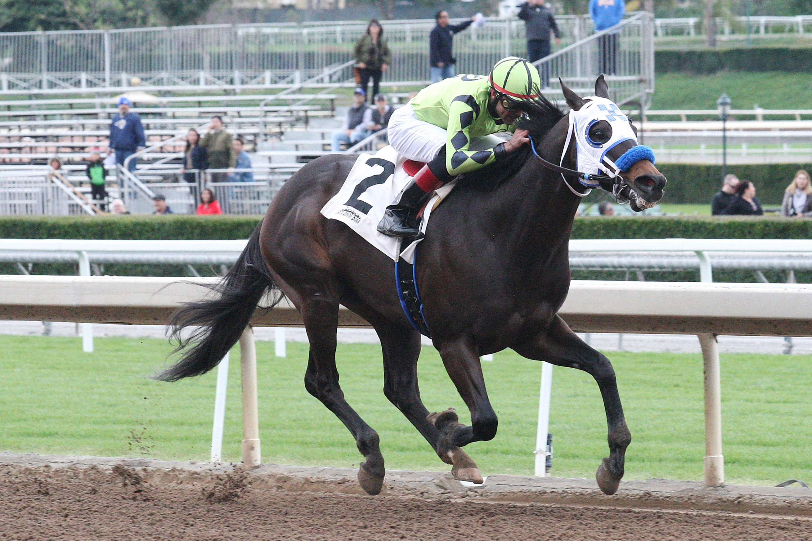 Distinctiv Passion wins a Feb. 26 claiming race