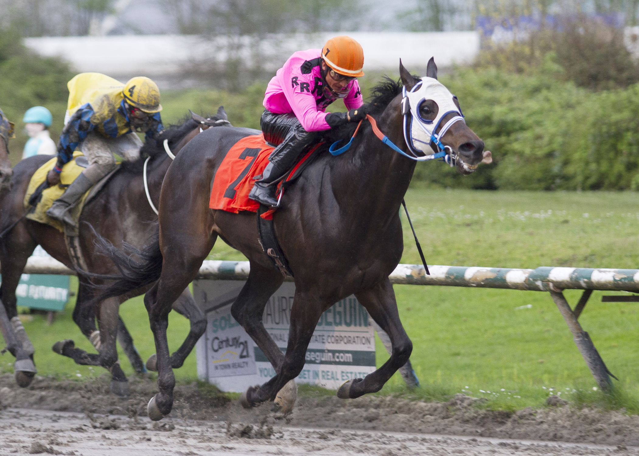 Distinctiv Passion wins the Swift Thoroughbreds Inaugural Stakes