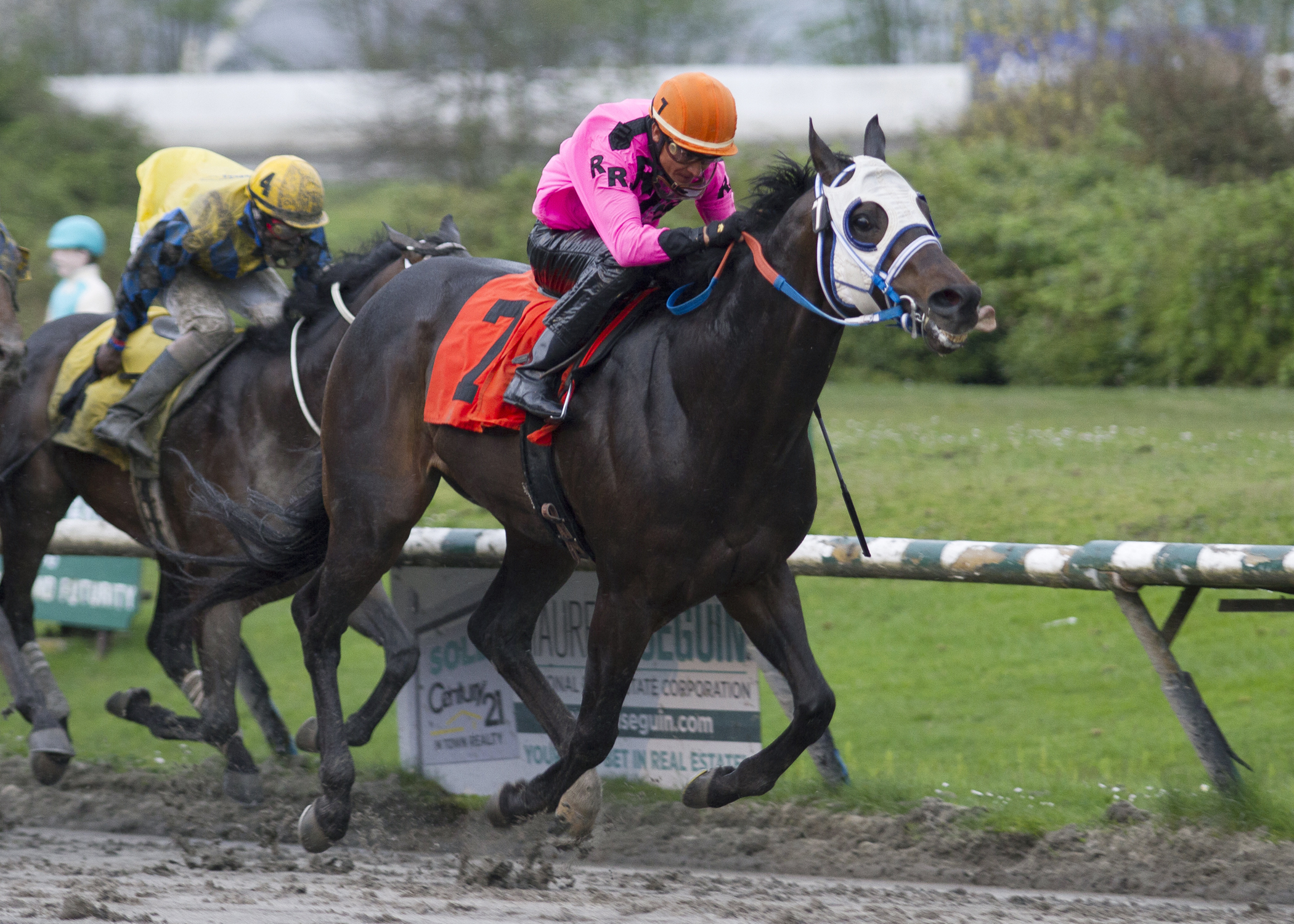 Distinctiv Passion wins the Swift Thoroughbreds Inaugural Stakes