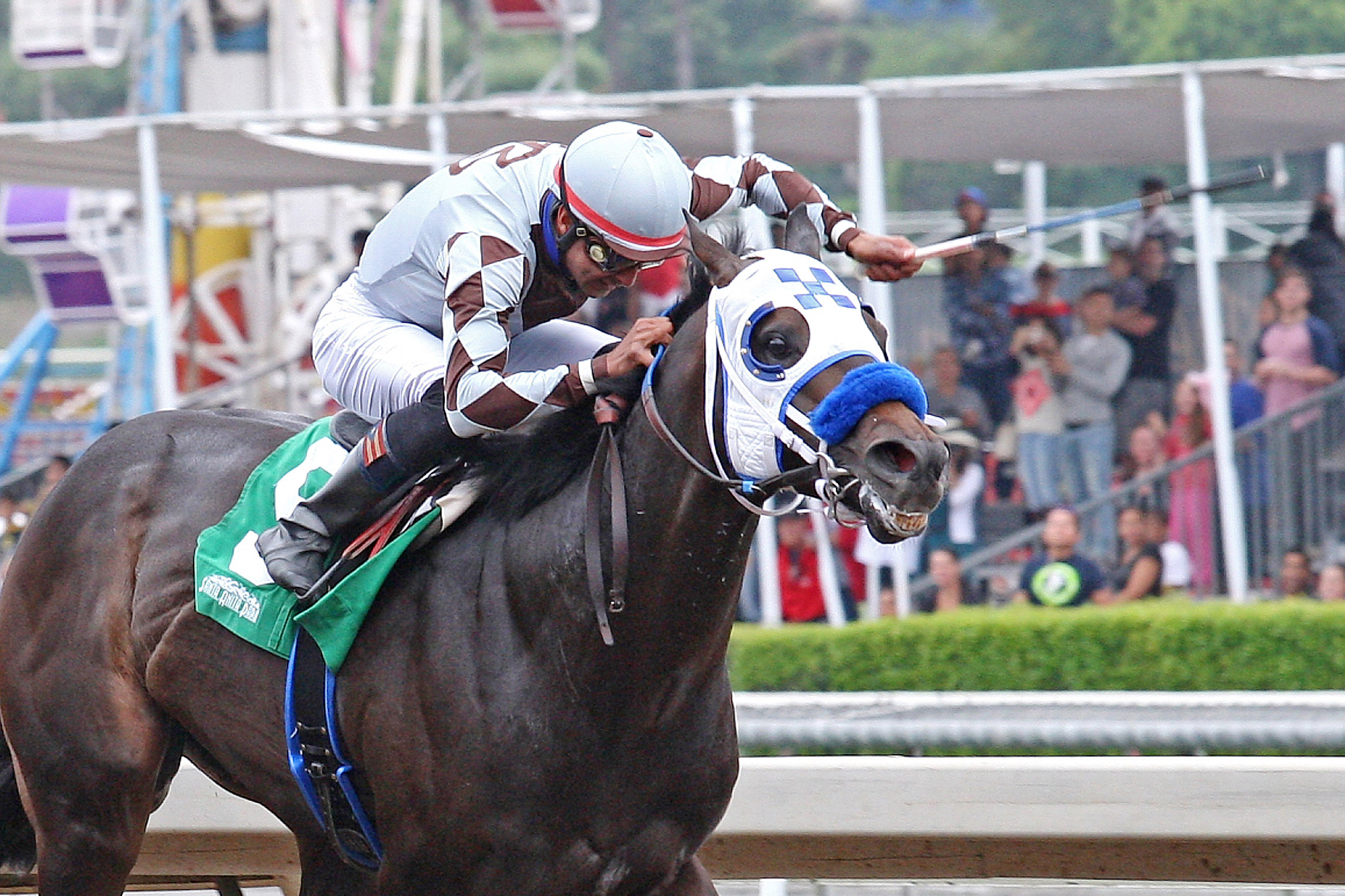 Distinctiv Passion wins the Los Angeles Stakes