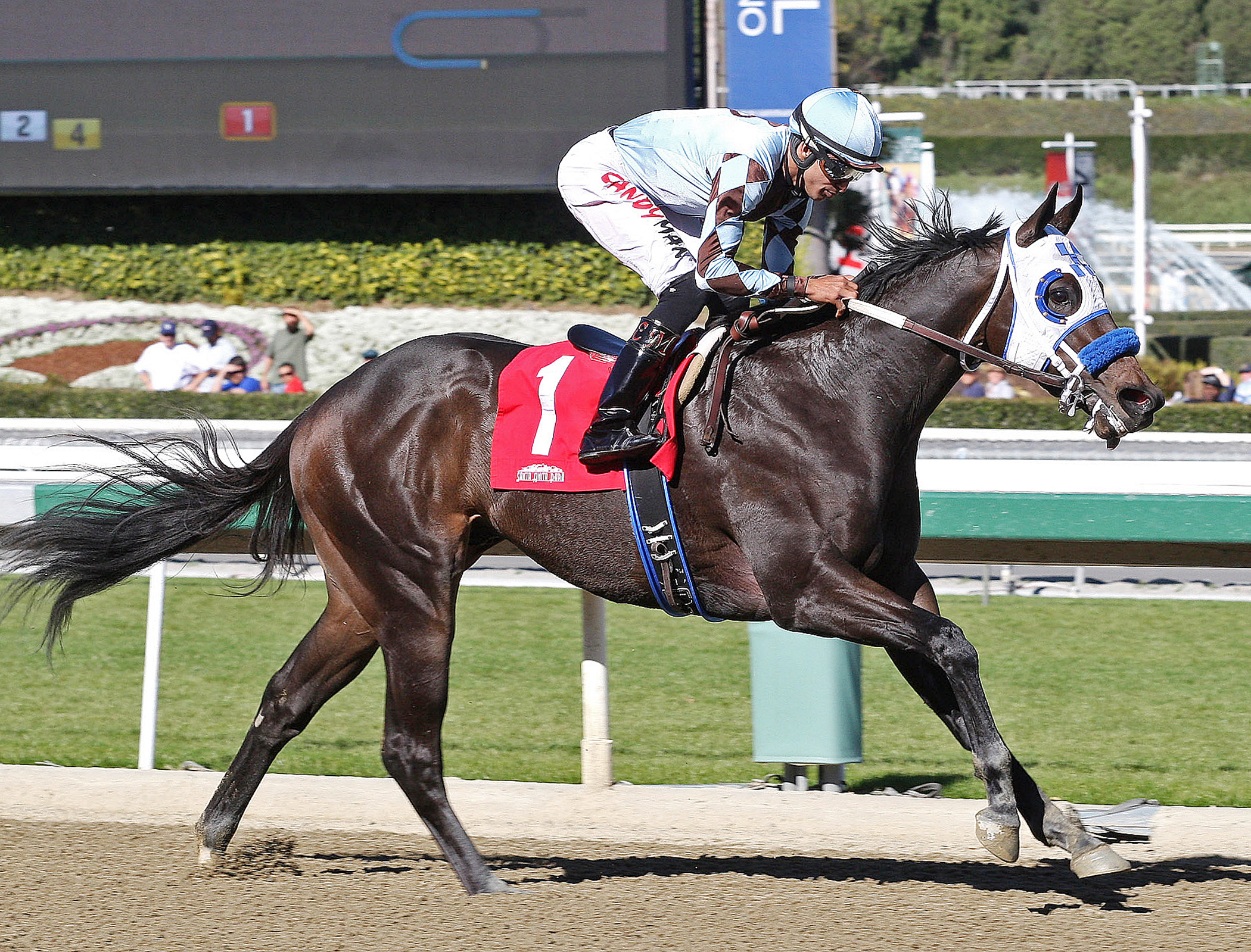 Distinctiv Passion, San Pedro Stakes