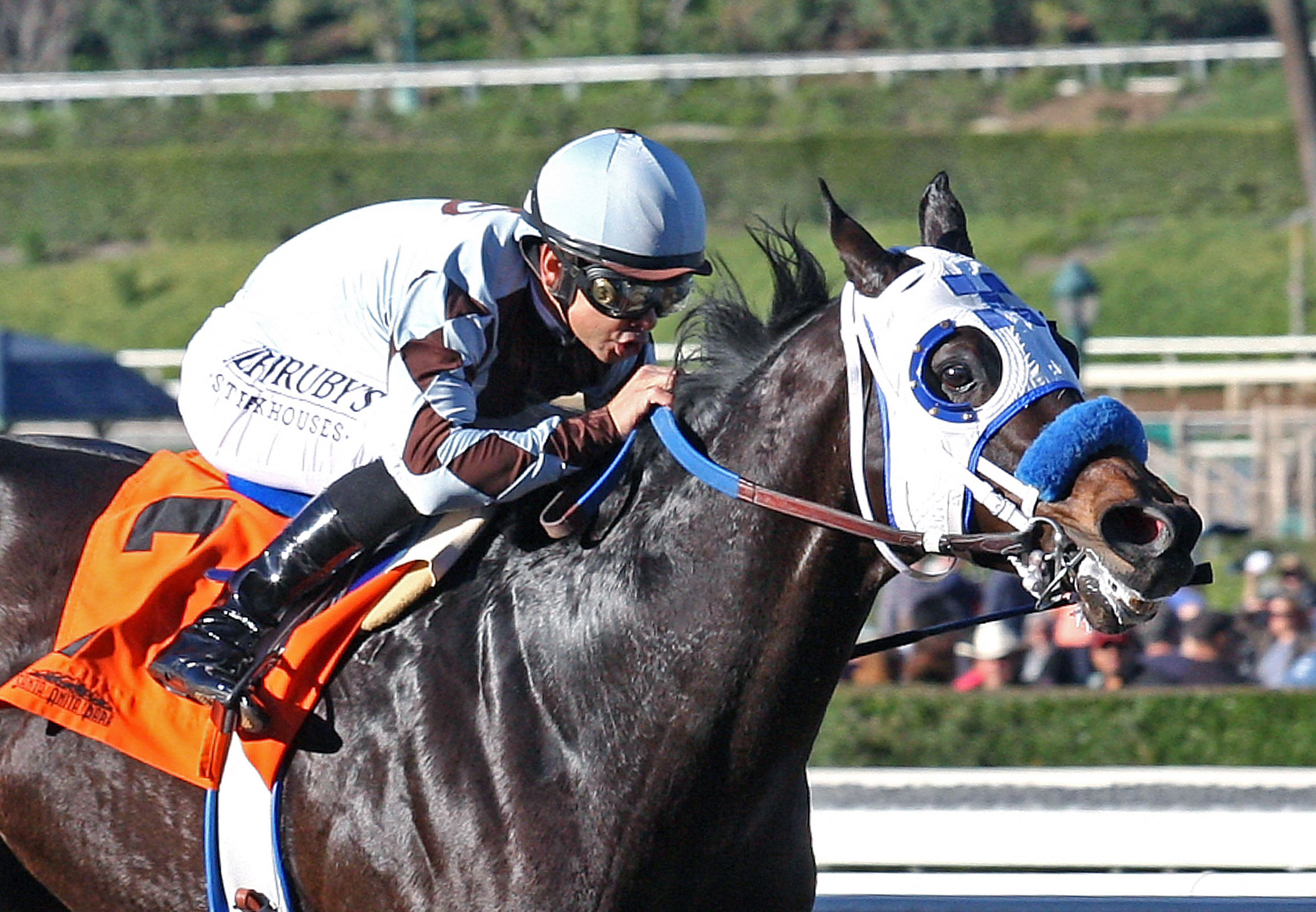 Distinctiv Passion wins the Midnight Lute Stakes