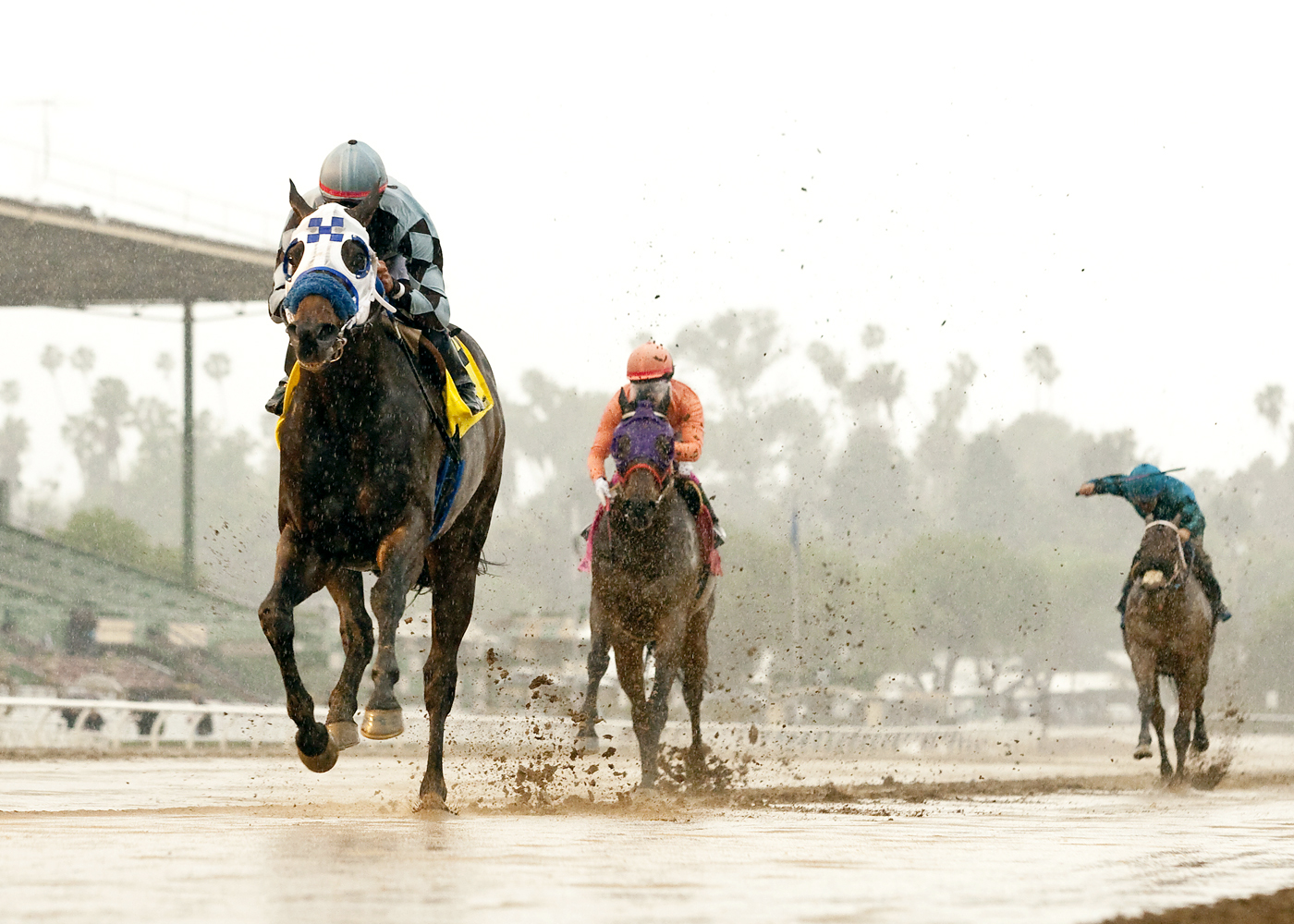 Distinctiv Passion wins the Joe Hernandez Stakes