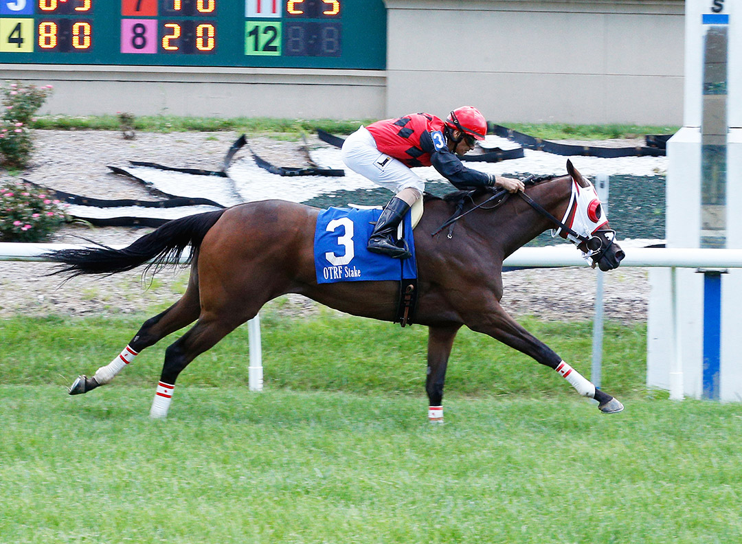 Distinctive Flower wins the 2020 Vivacious Flower at Belterra Park