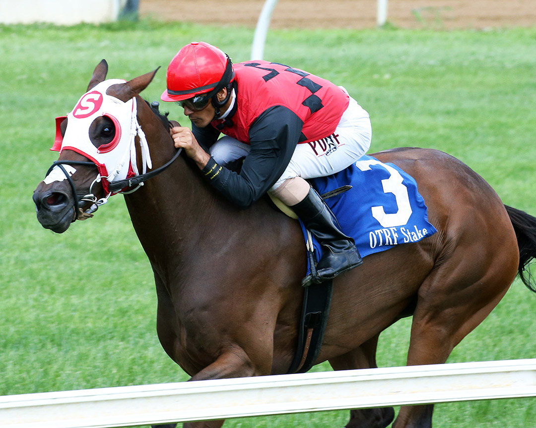 Distinctive Flower wins the 2020 Vivacious Flower at Belterra Park