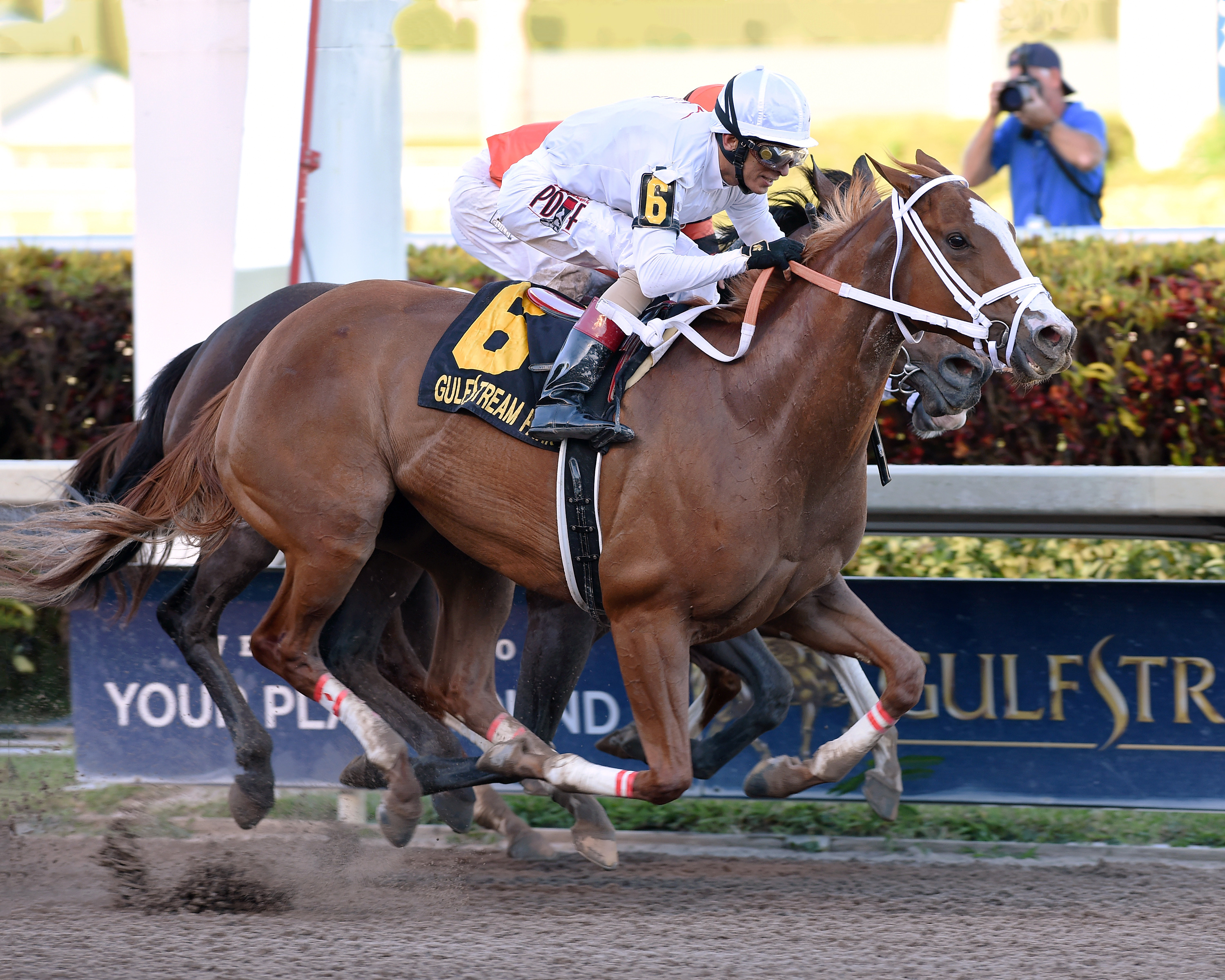 ‘Depth and quality' mark Fasig-Tipton July horses of racing age sale