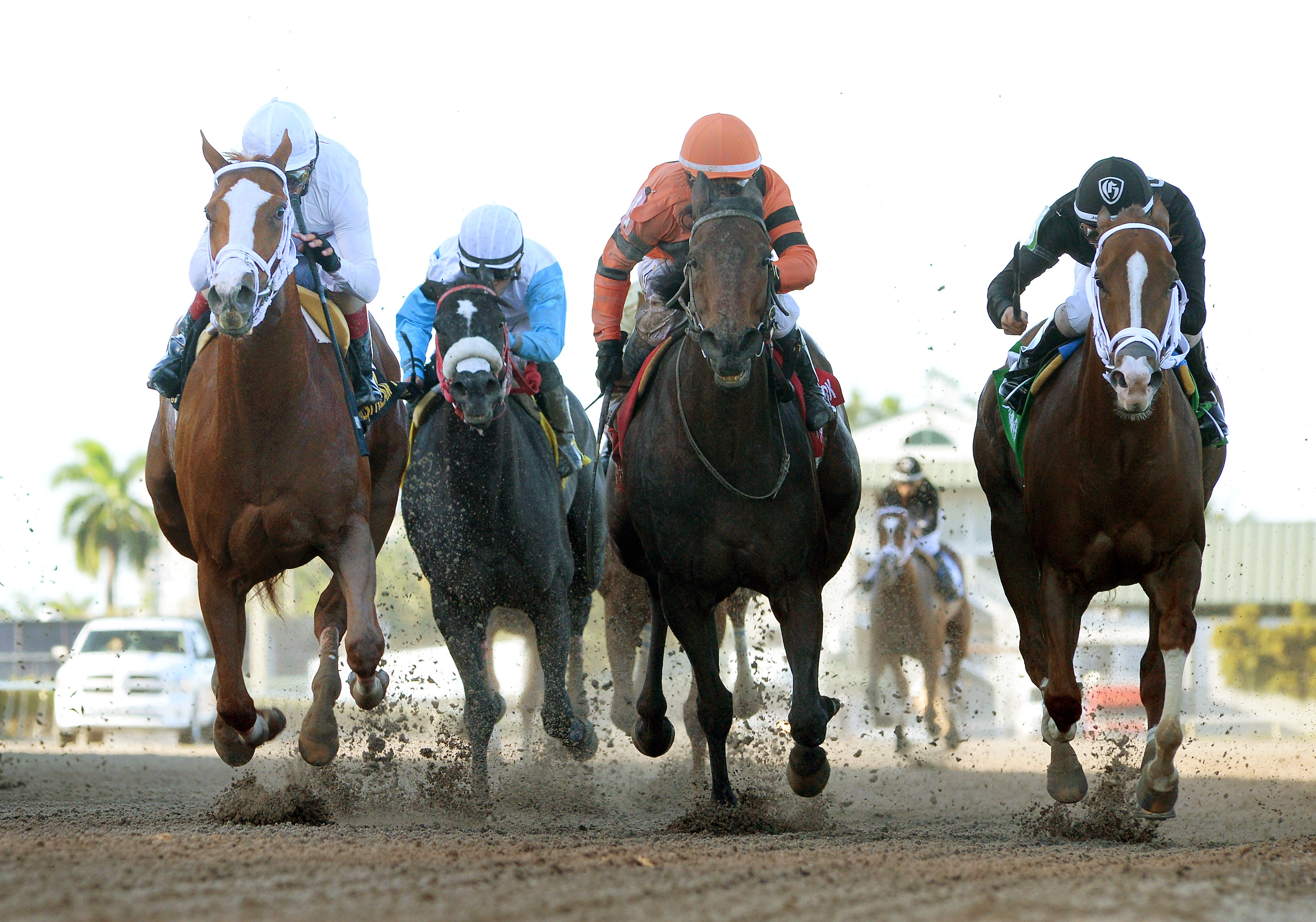 Distinta wins the Inside Information Stakes