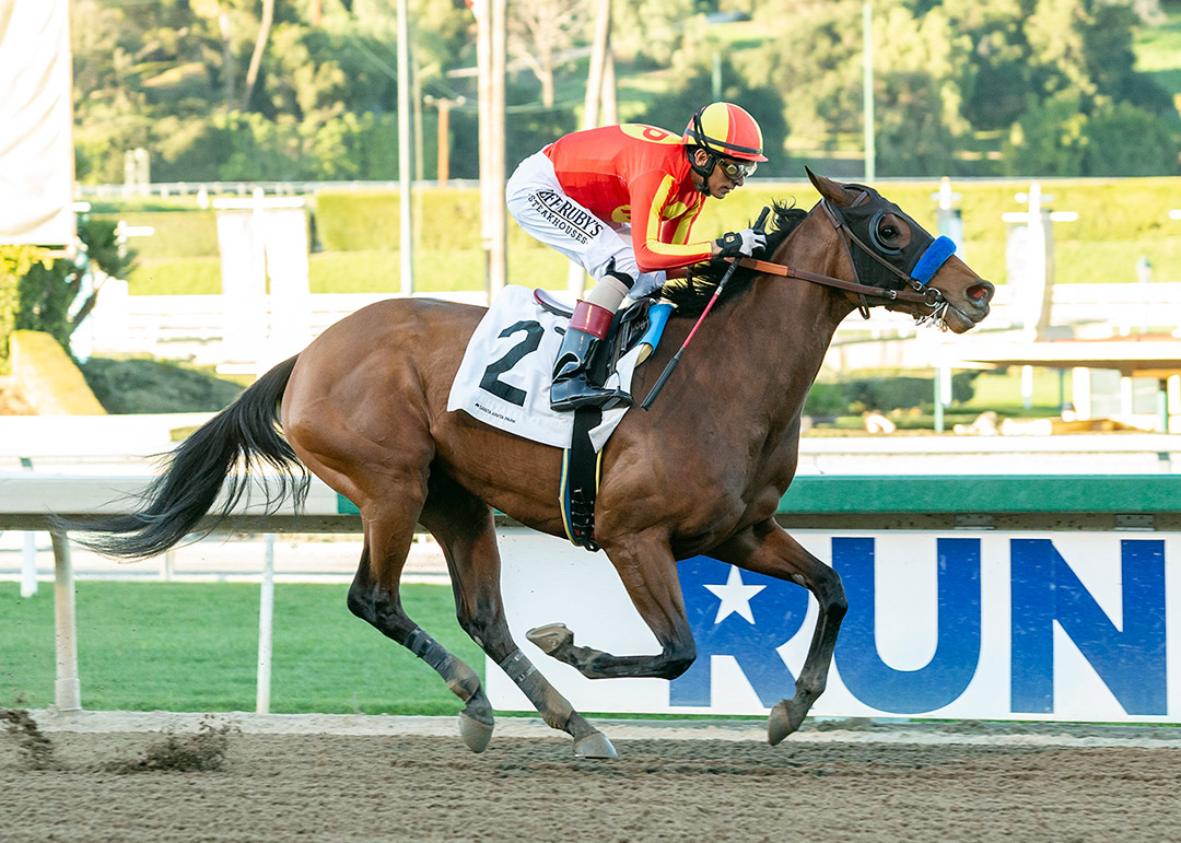 Distractedprincess wins a Jan. 23 allowance at Santa Anita