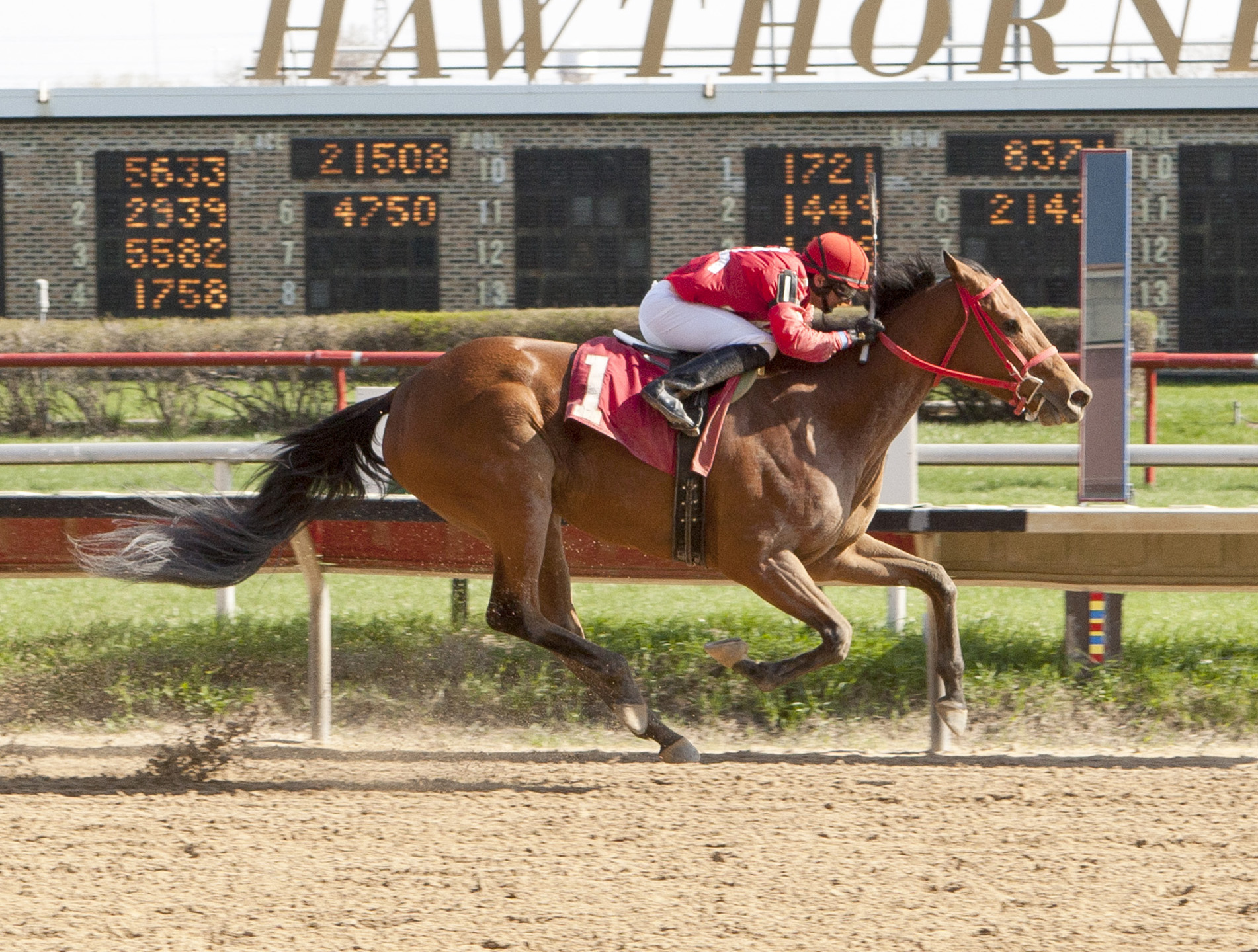 Diva's Diamond wins the Peach of It Handicap