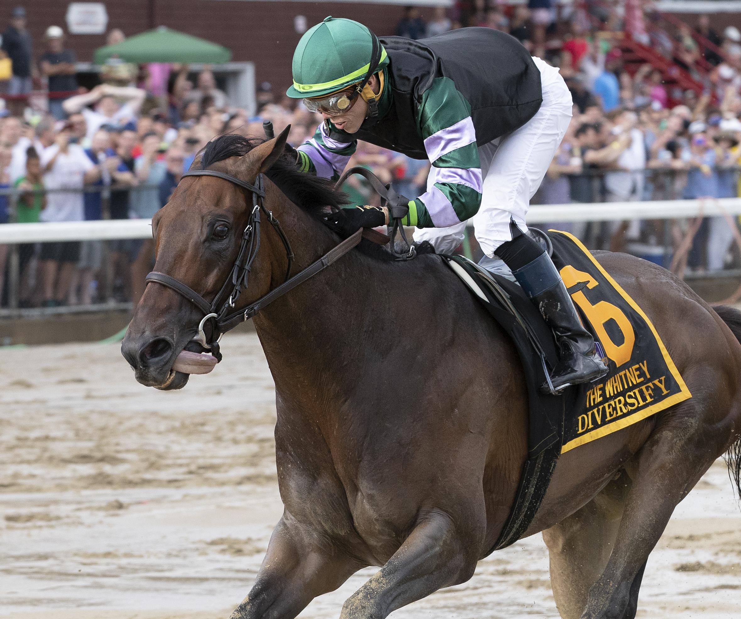 Diversify wins 2018 Whitney