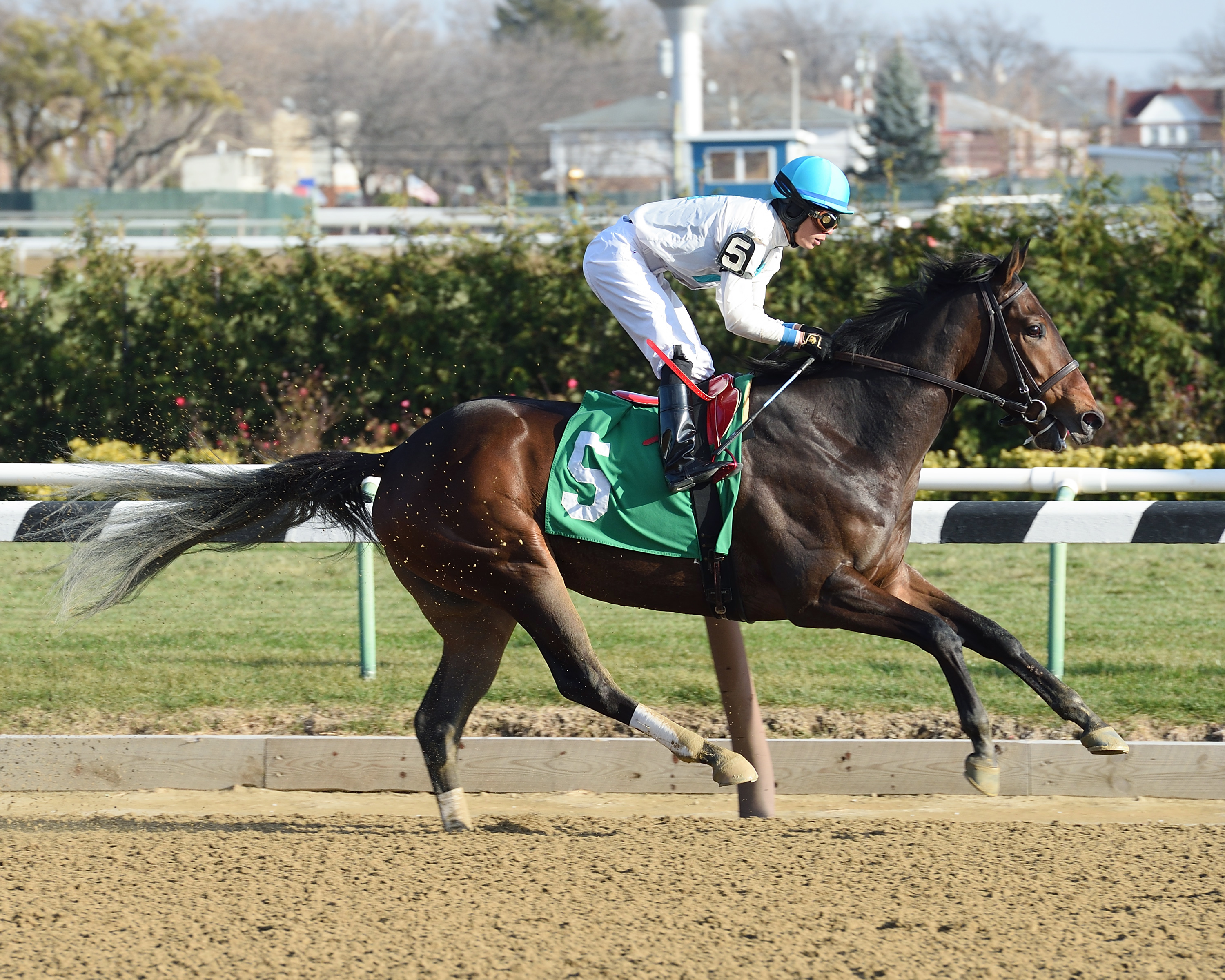 Diversify wins a Jan. 14 allowance race at Aqueduct