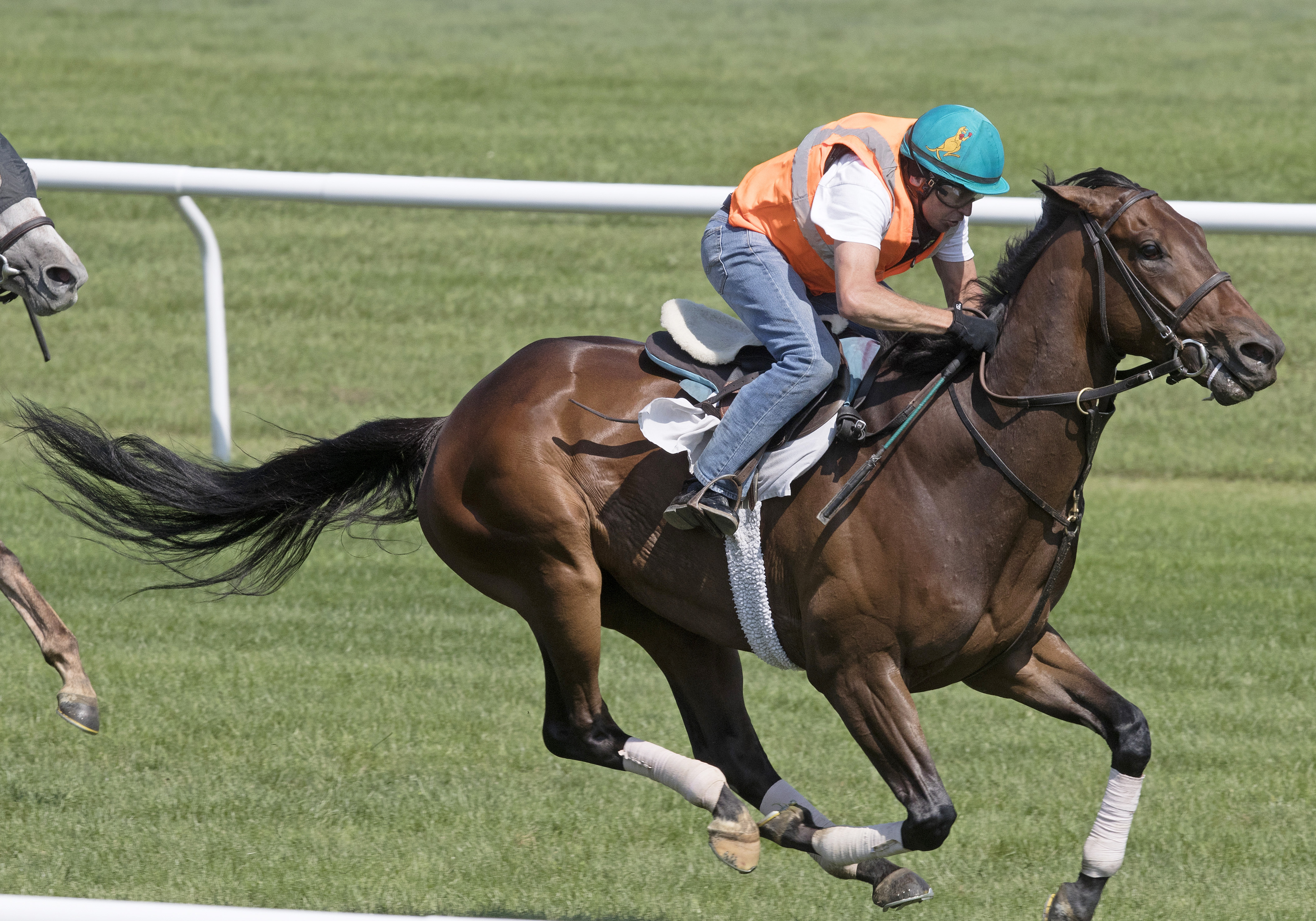 Diversify trains at Saratoga on July 21, 2017