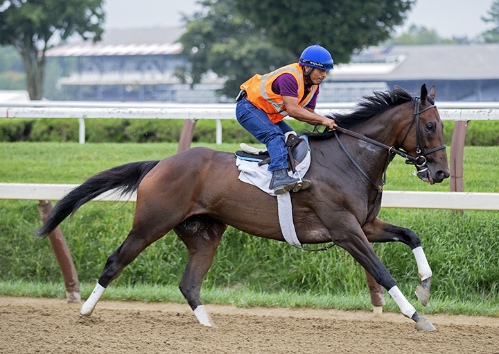 Diversify trains at Saratoga on Sept 3