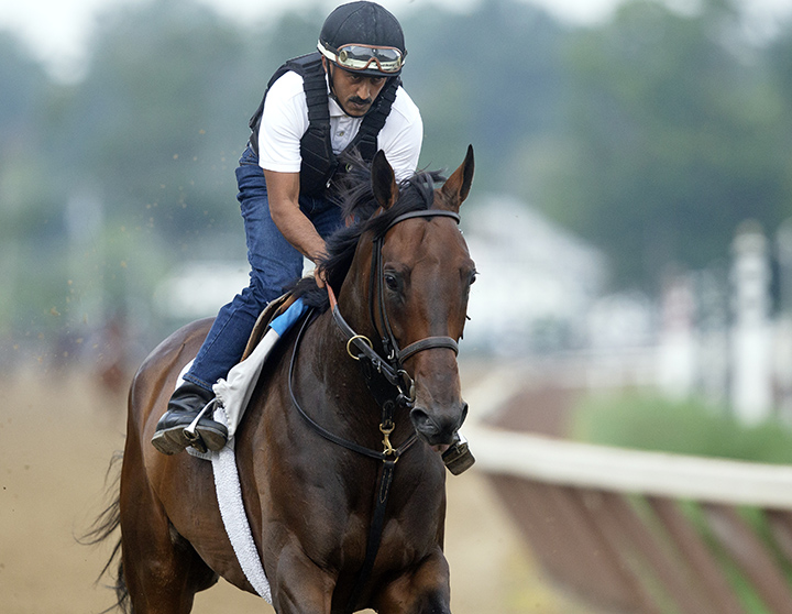 Diversify trains at Saratoga in July 2018