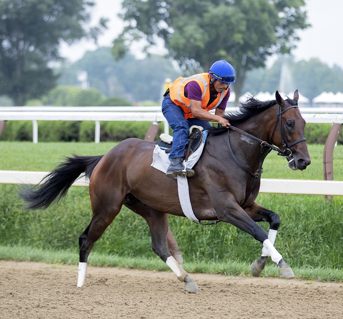 Diversify trains at Saratoga on Sept 3