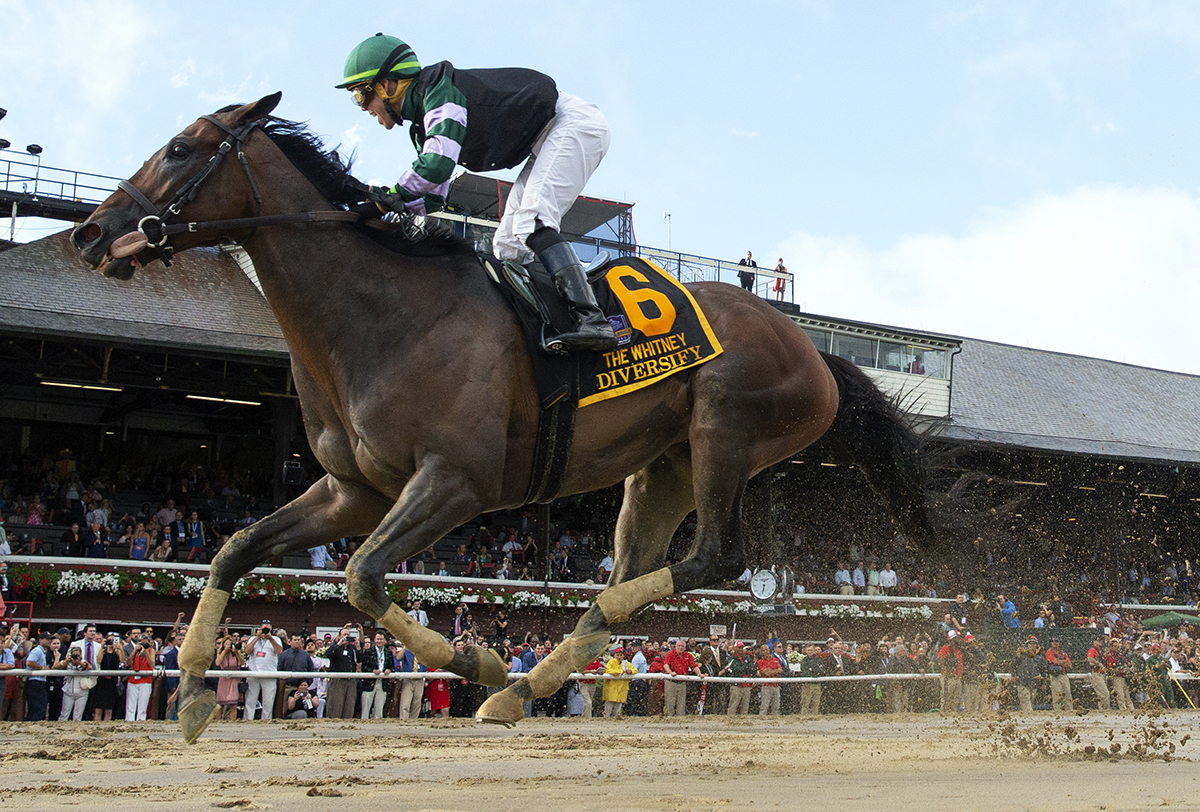 Diversify wins the Whitney - cropped for home page