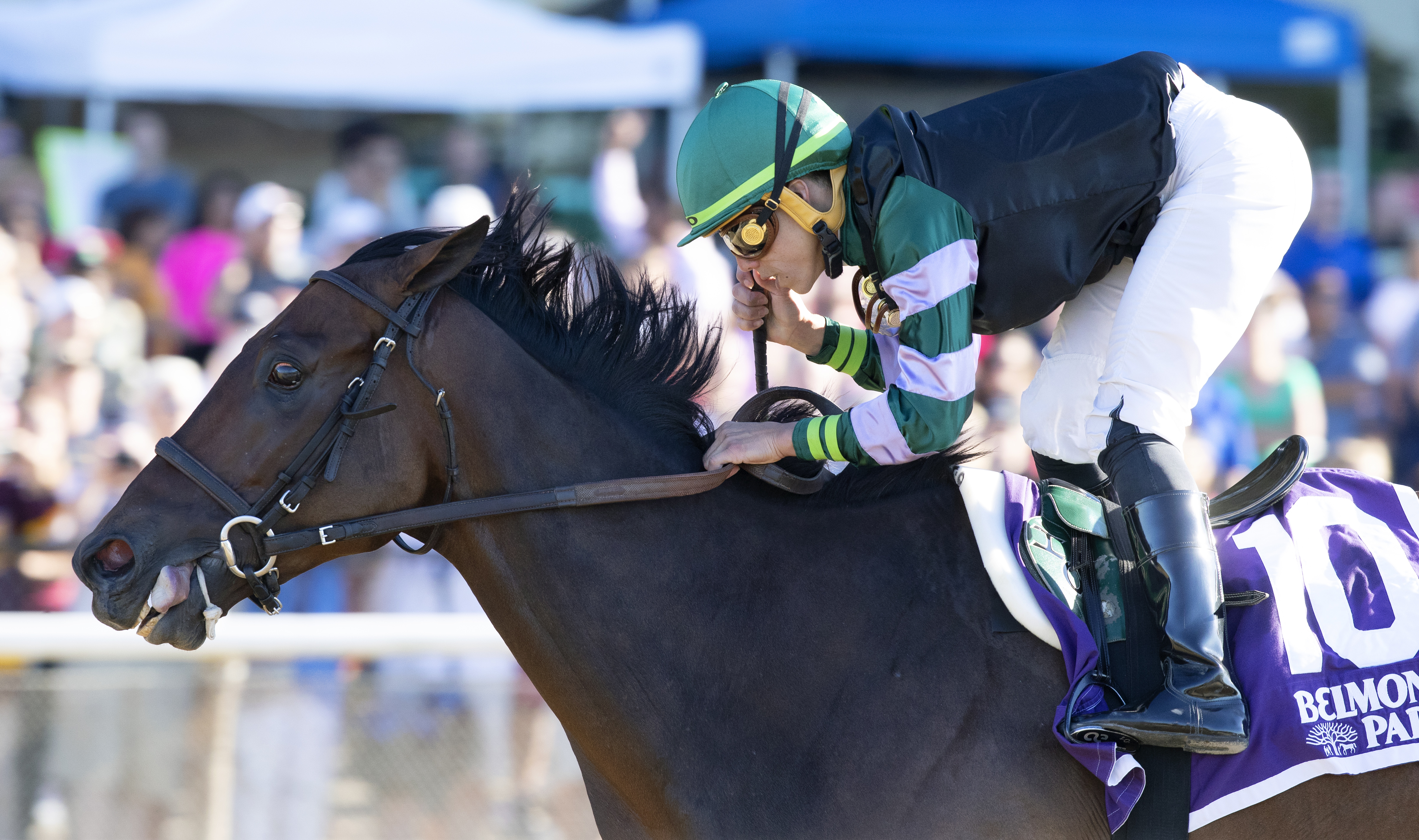 Diversify wins the 2018 Suburban Stakes